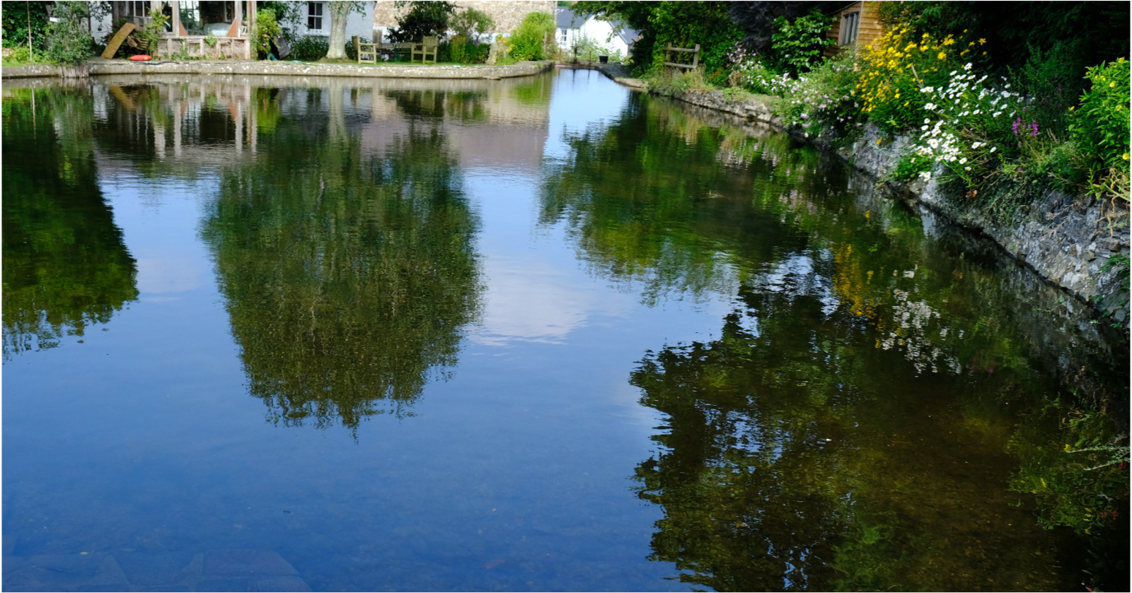 "Pond Reflections" by Margaret Jones
