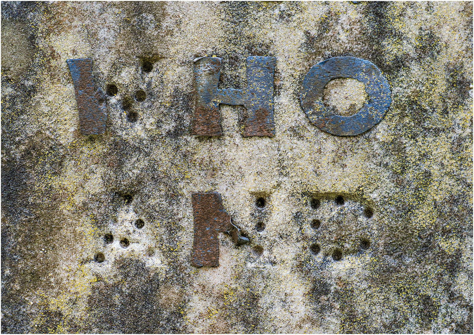 "WHO AND" by Viv Evans