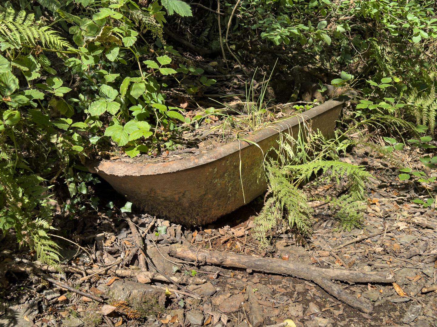 "Rusty bath" by Morlais Davies