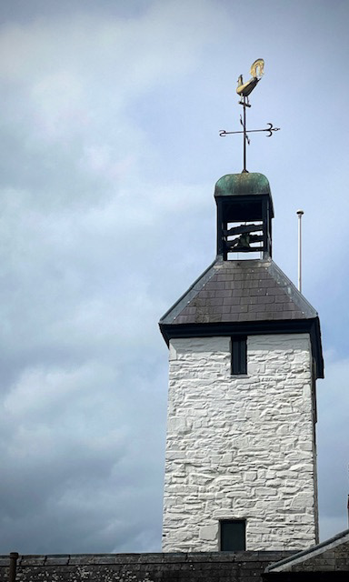 "South Western Cockerel" by Claire Barnes