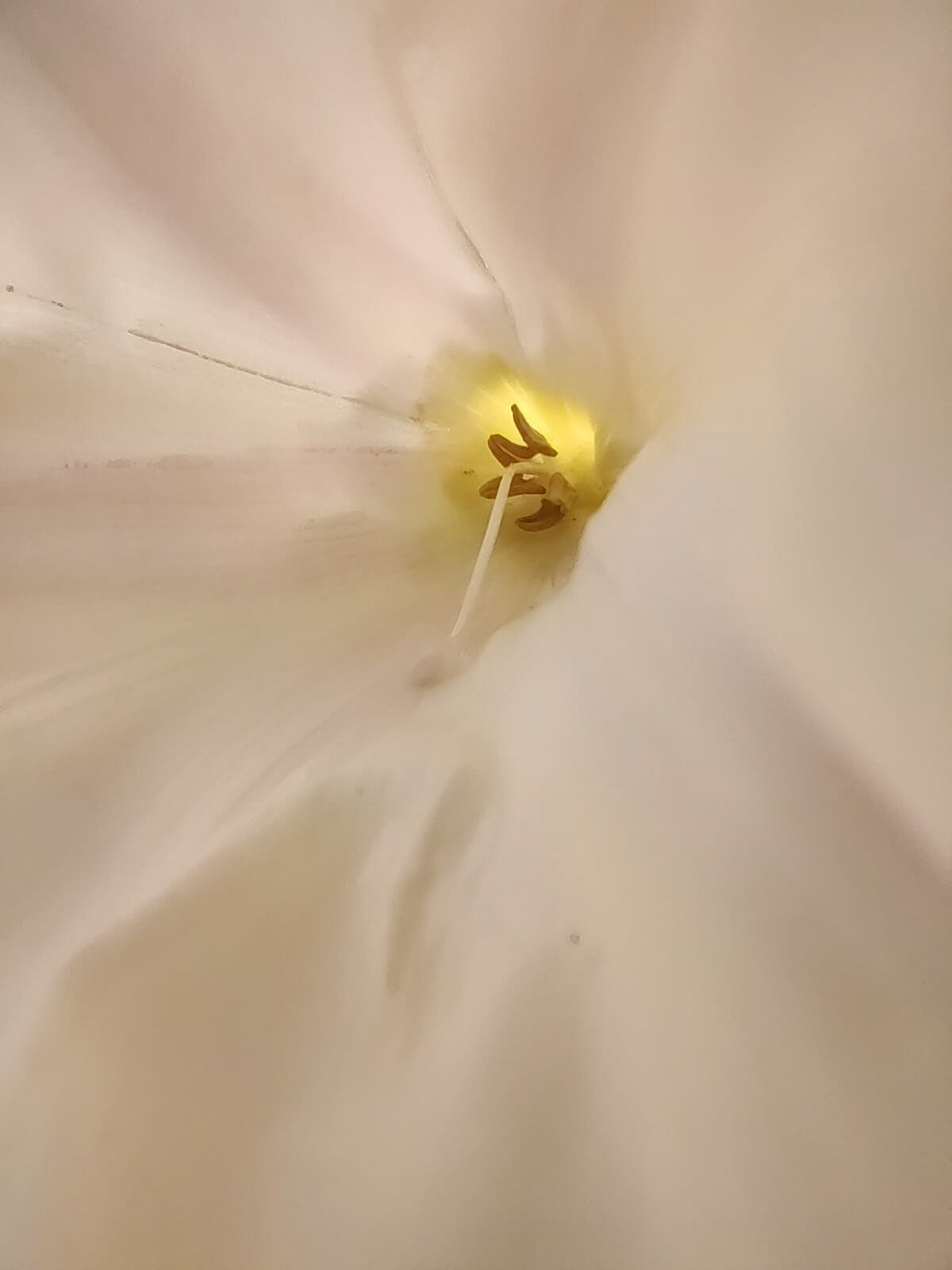 "Natural Light" by Hilary Harding