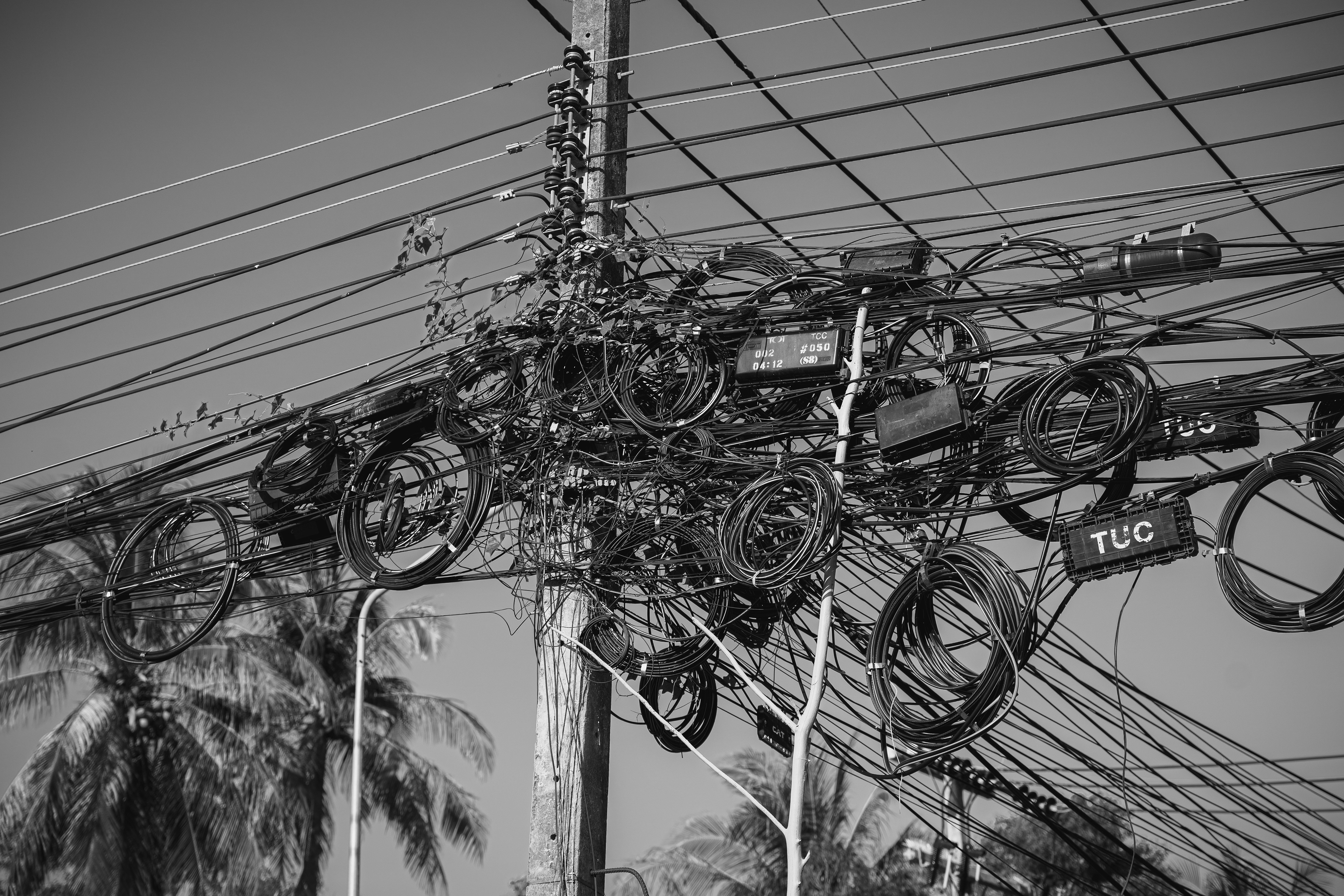 "Wire patterns" by Janet Evans