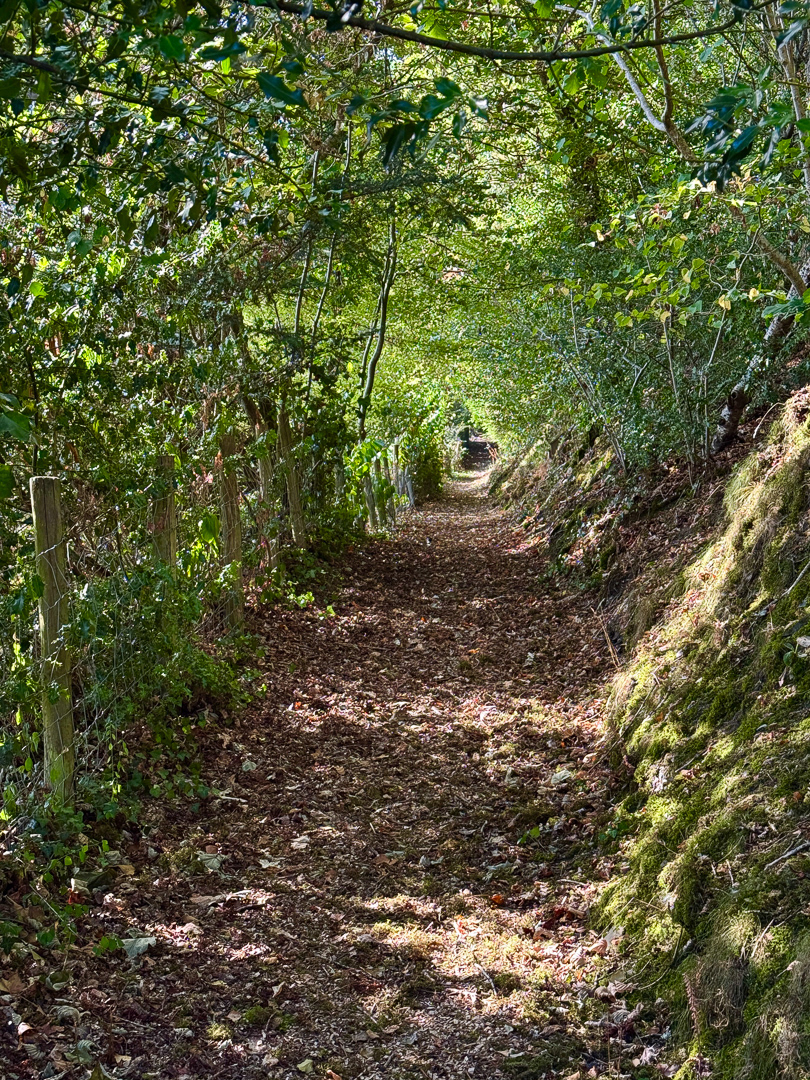"Poets pathway" by Morlais Davies