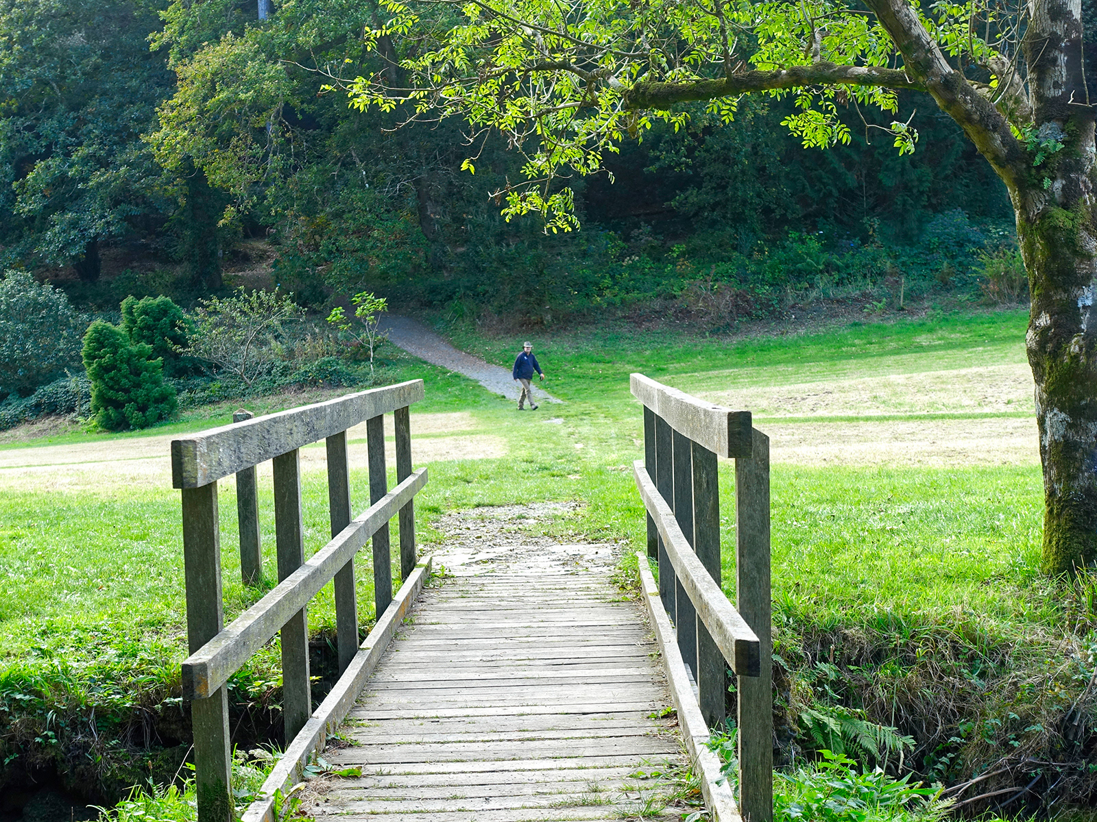 "Footbridge" by Margaret Jones