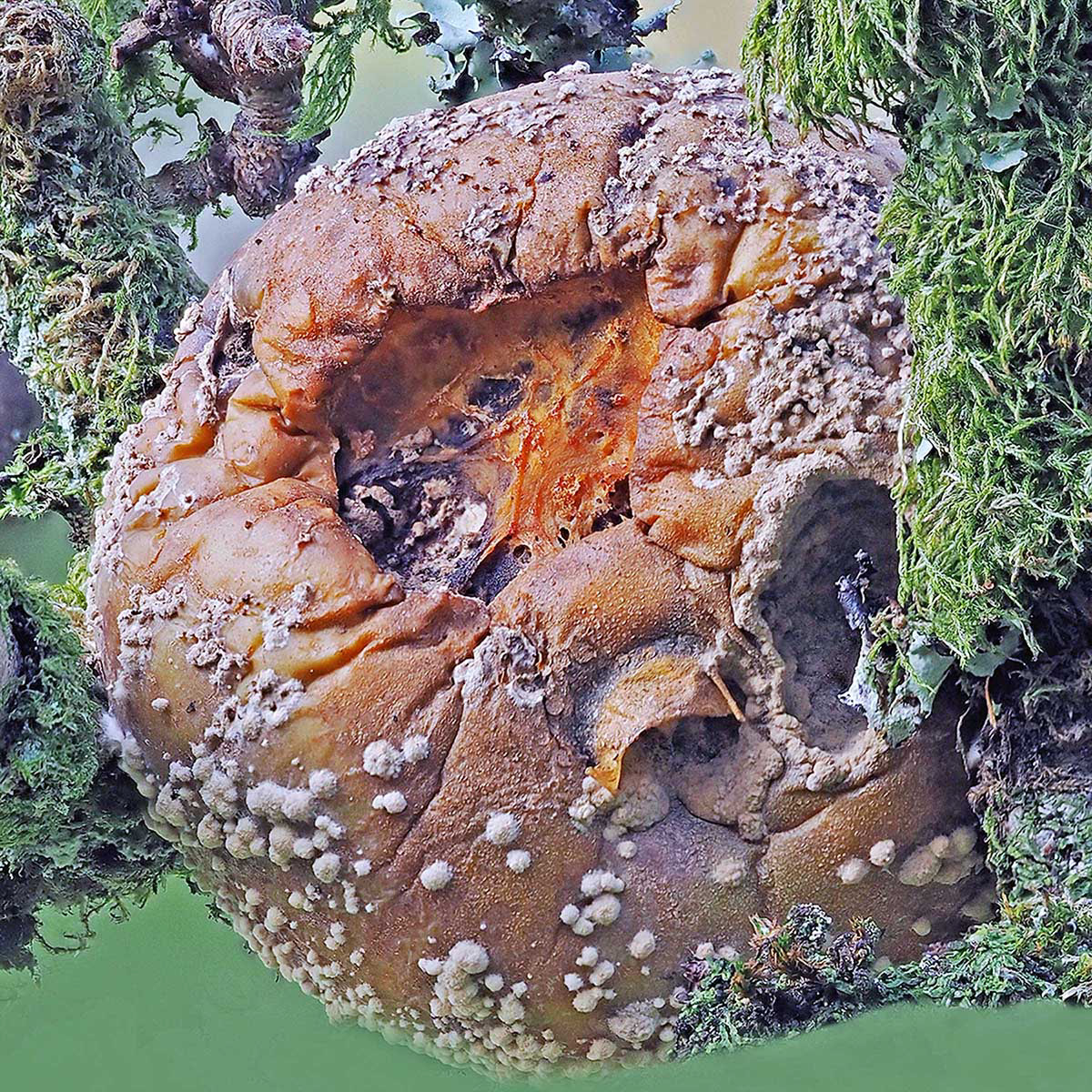 PA072583 by Viv Bowen