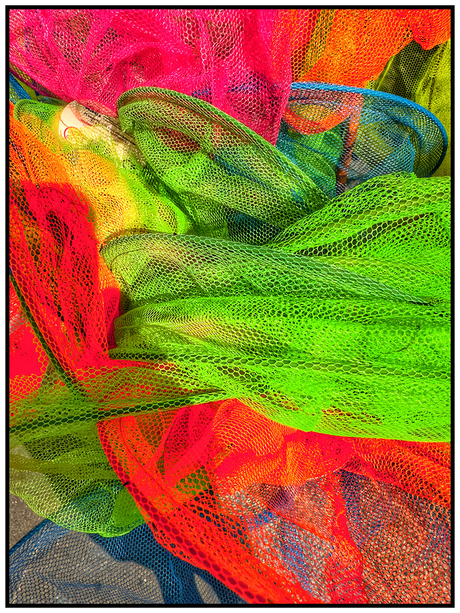 "Image 6" by David Hough