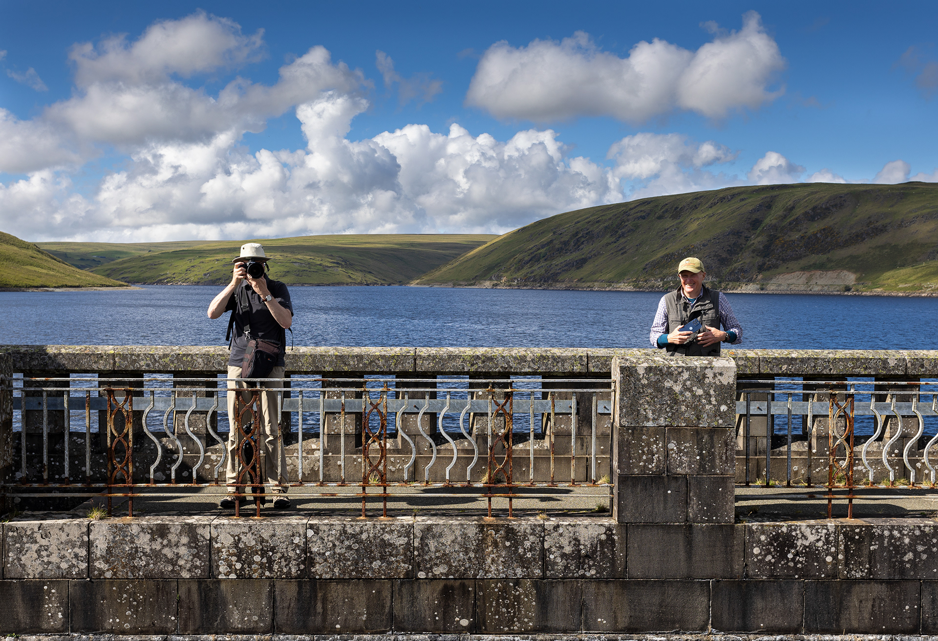 "MD SH Claerwen" by Viv Evans