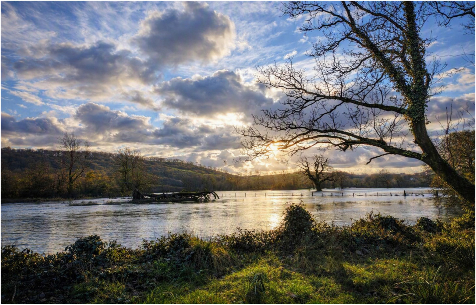 1. Flooded Fields