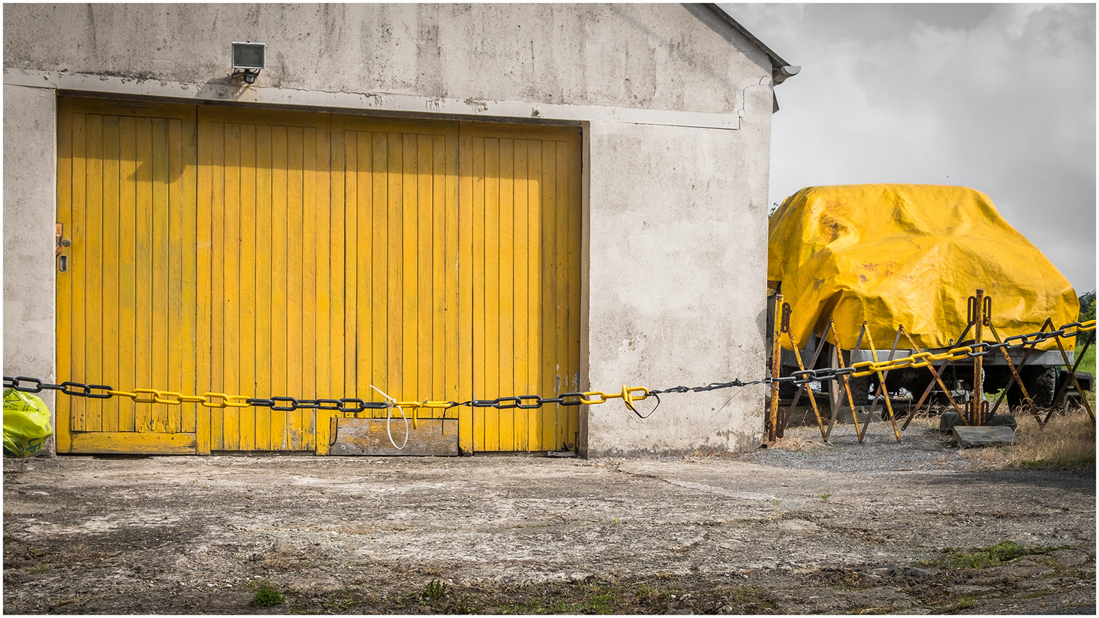 "They call me Mellow Yellow" by Colin Price