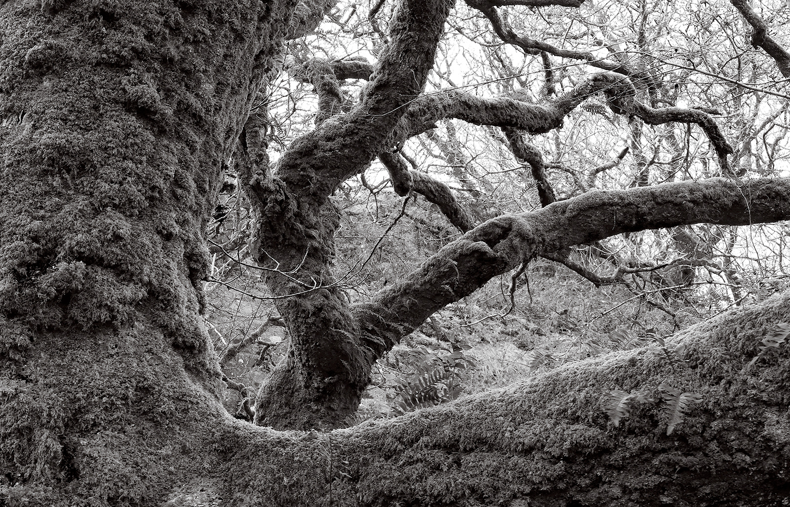 2nd: Angles (Chris Haines) 19 points 