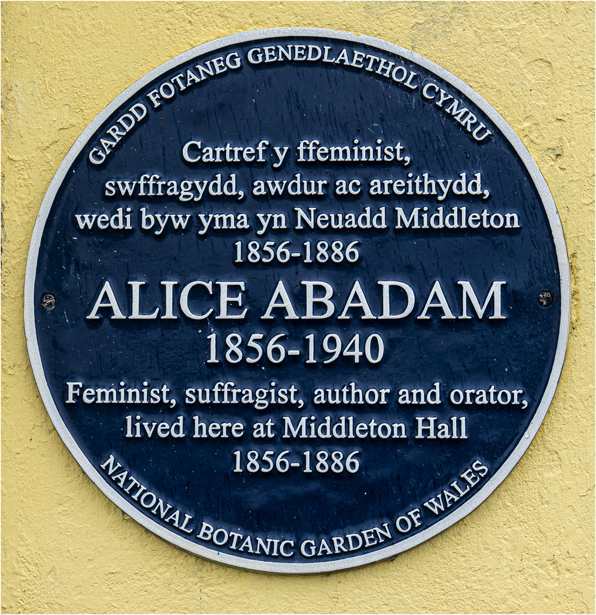 "Alice" by Viv Evans