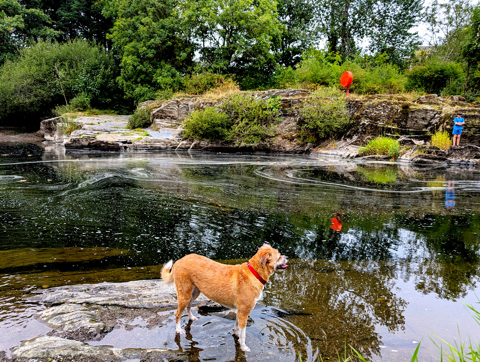 "Cora" by Mike Jones