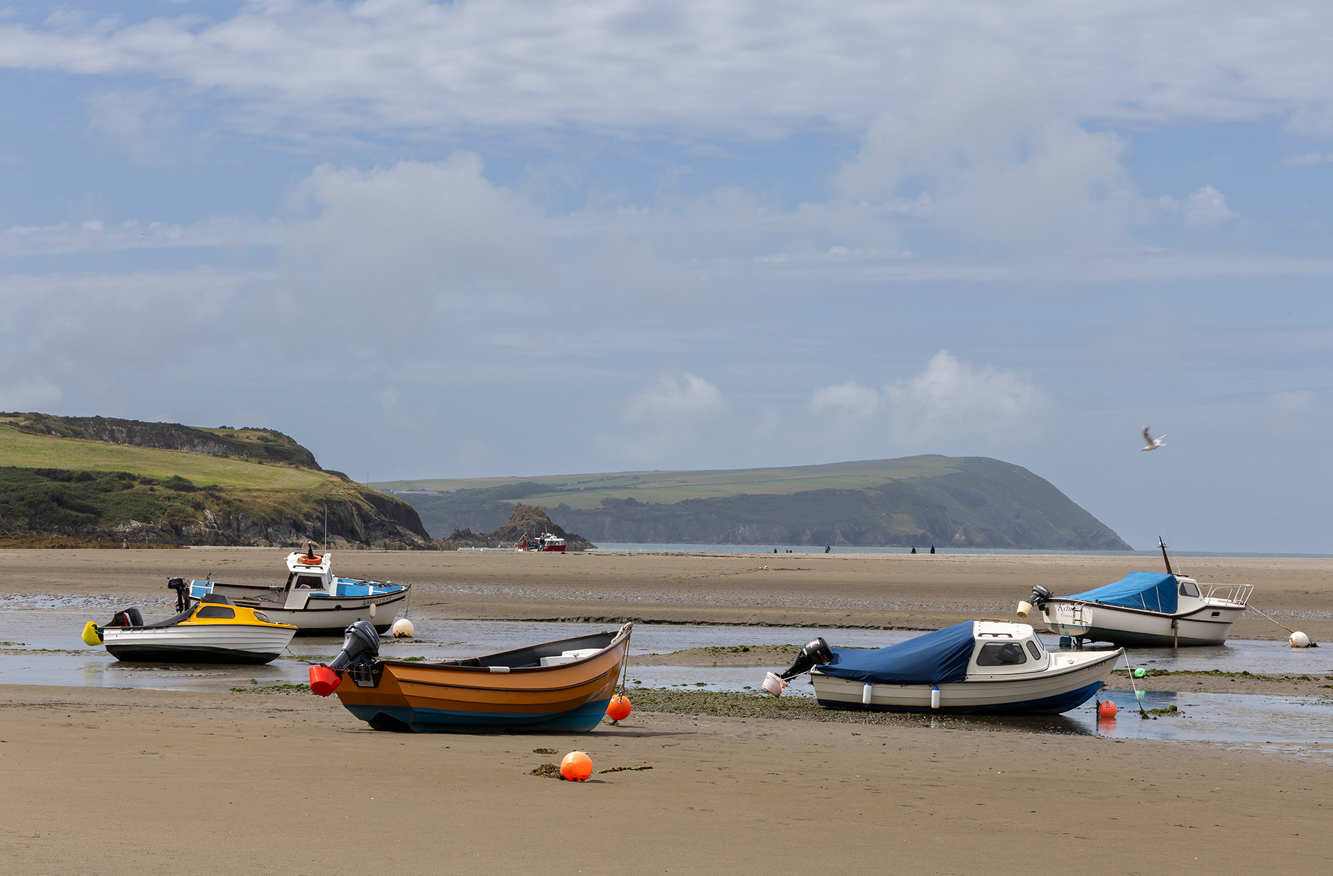 "Dinas View" by Viv Evans