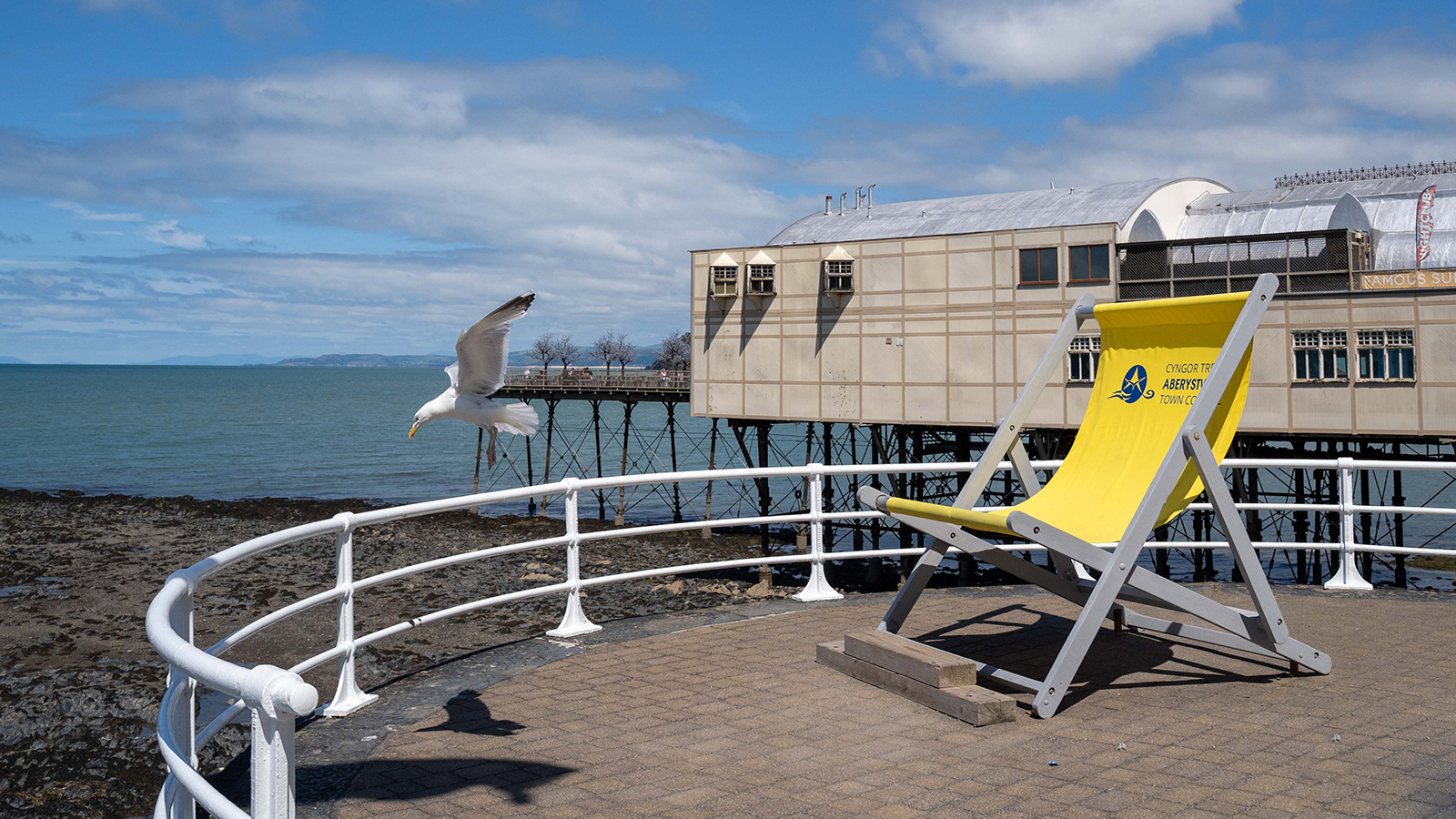 "Missed the deckchair on landing!" by Jan Evans