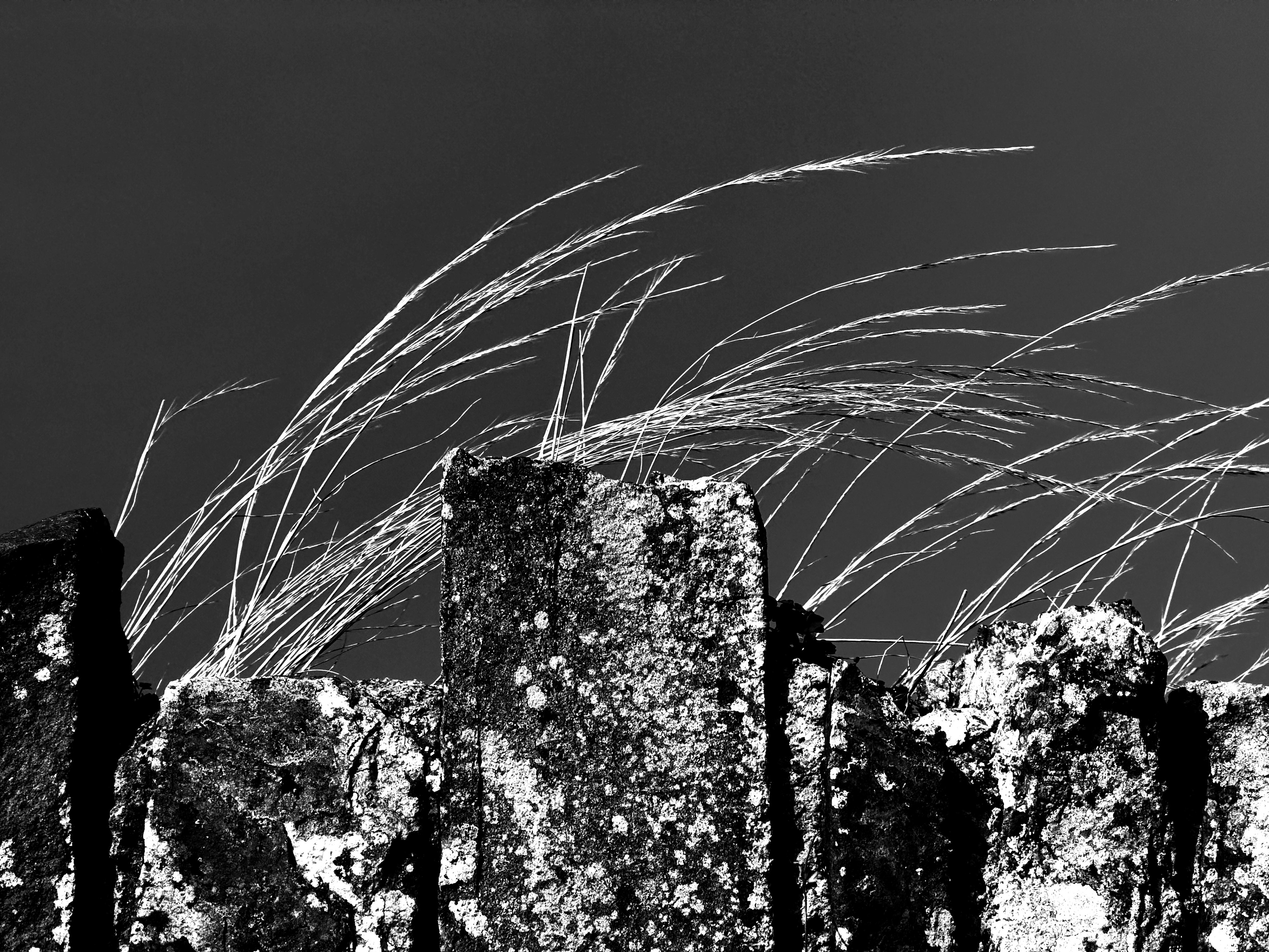 "I took mine first, sir - Honest!" by David Hough