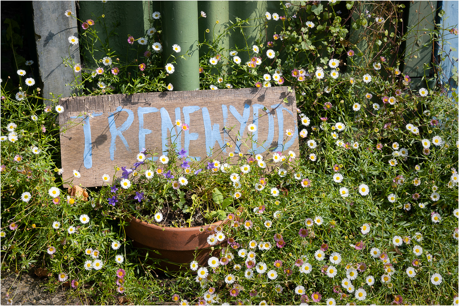 "Trenewydd" by Simon Harding