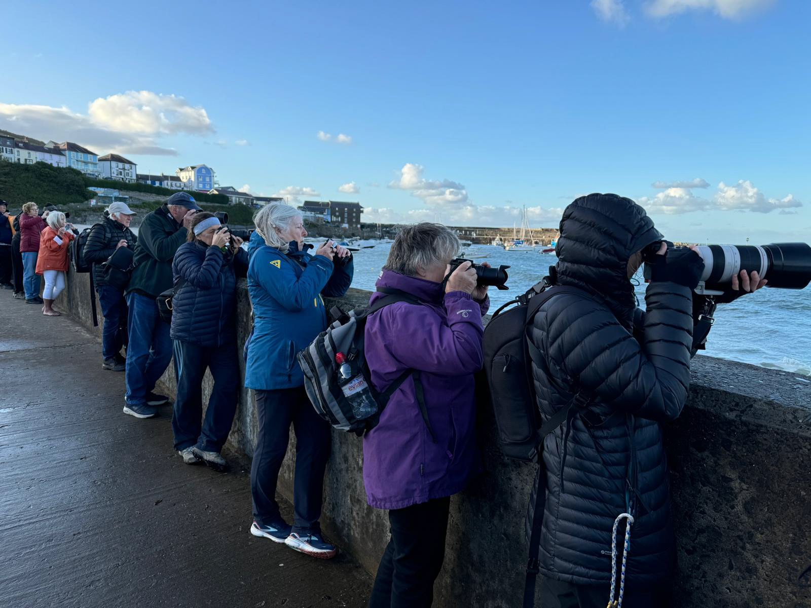 "Twitchers Galore!" by Morlais Davies