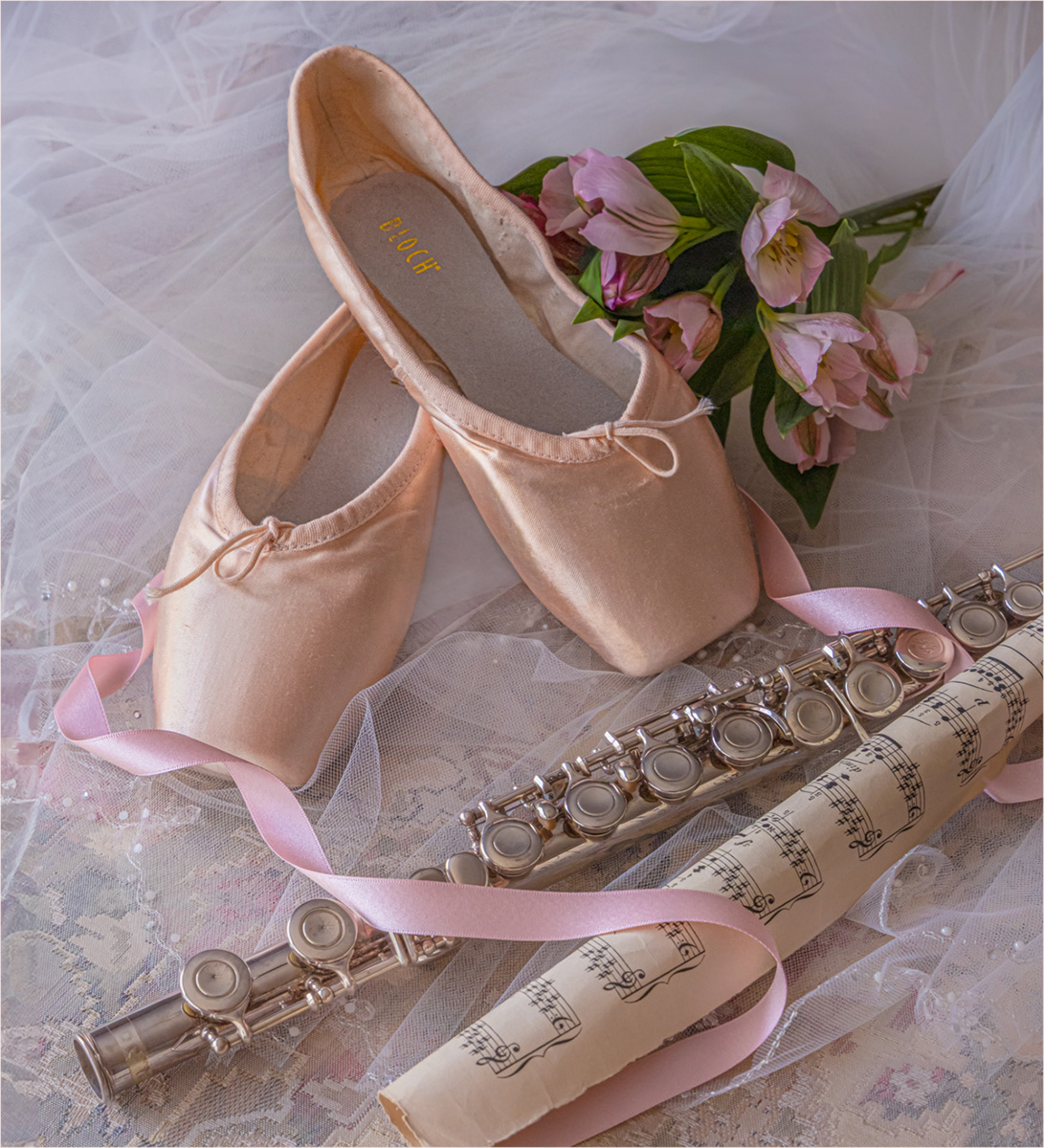 1. Ballet Shoes