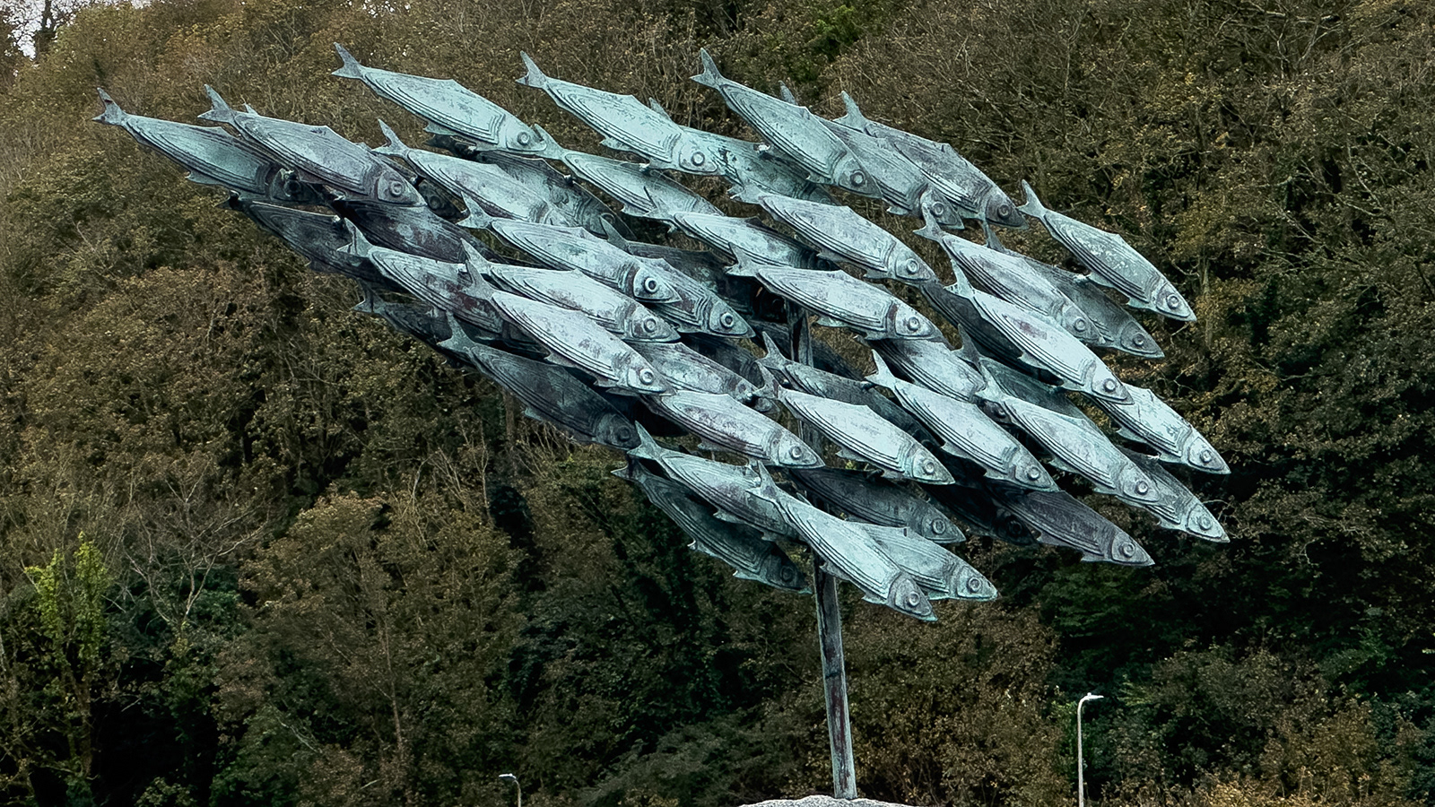 "Flying fish!" by Morlais Davies