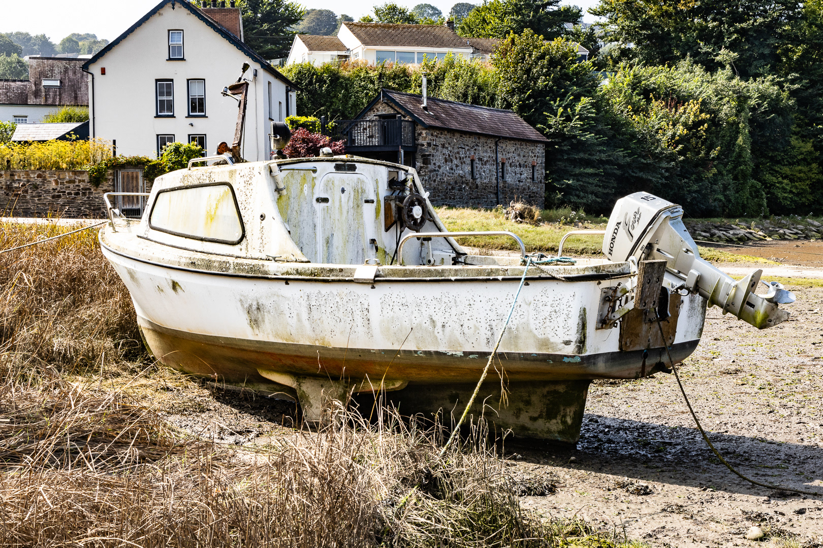 "High and dry" by Morlais Davies