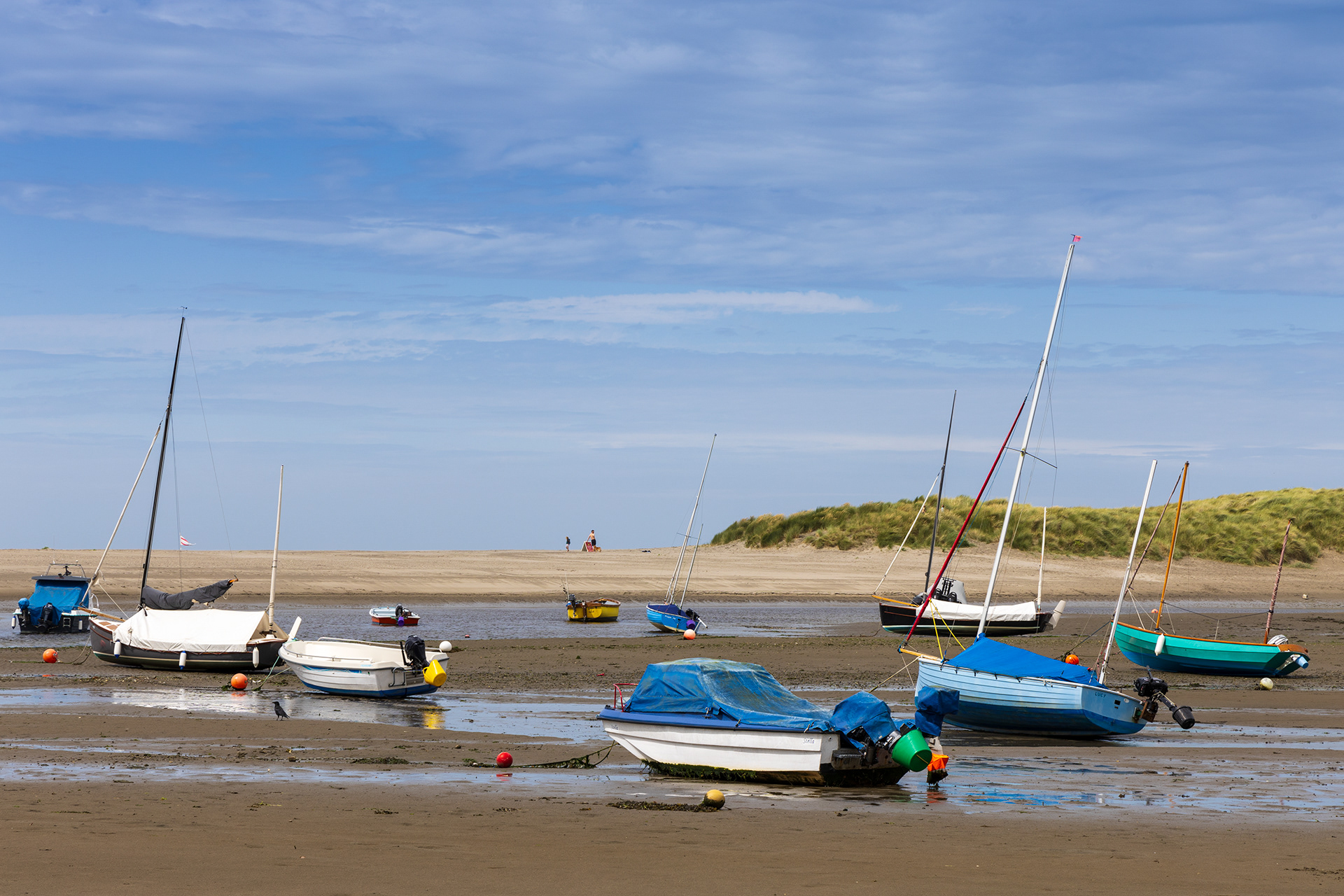 "Parrog 6" by Viv Evans