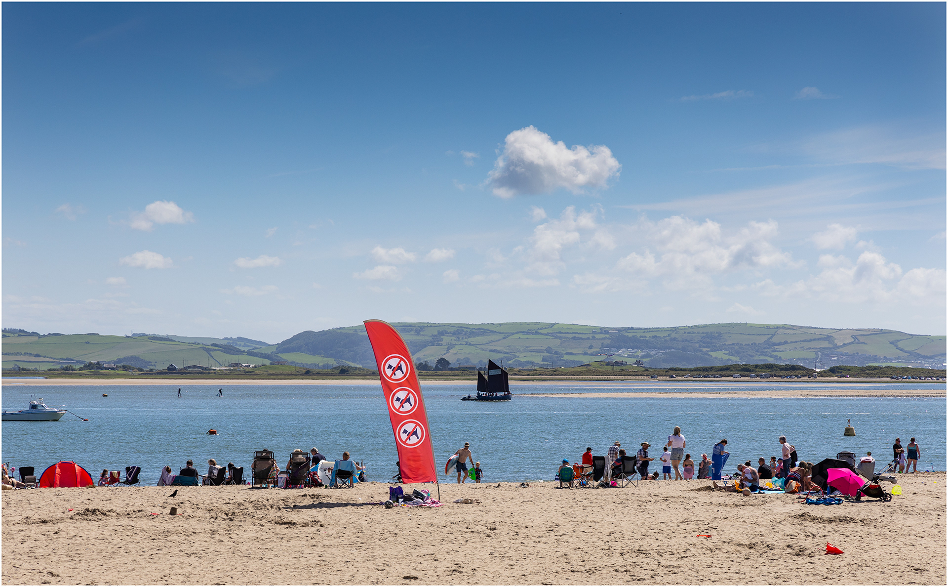 "Dim Cwn" by Viv Evans