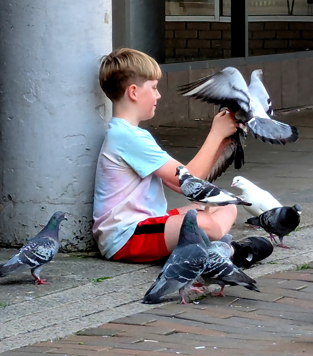 "Pigeon Lover" by Mike Jones