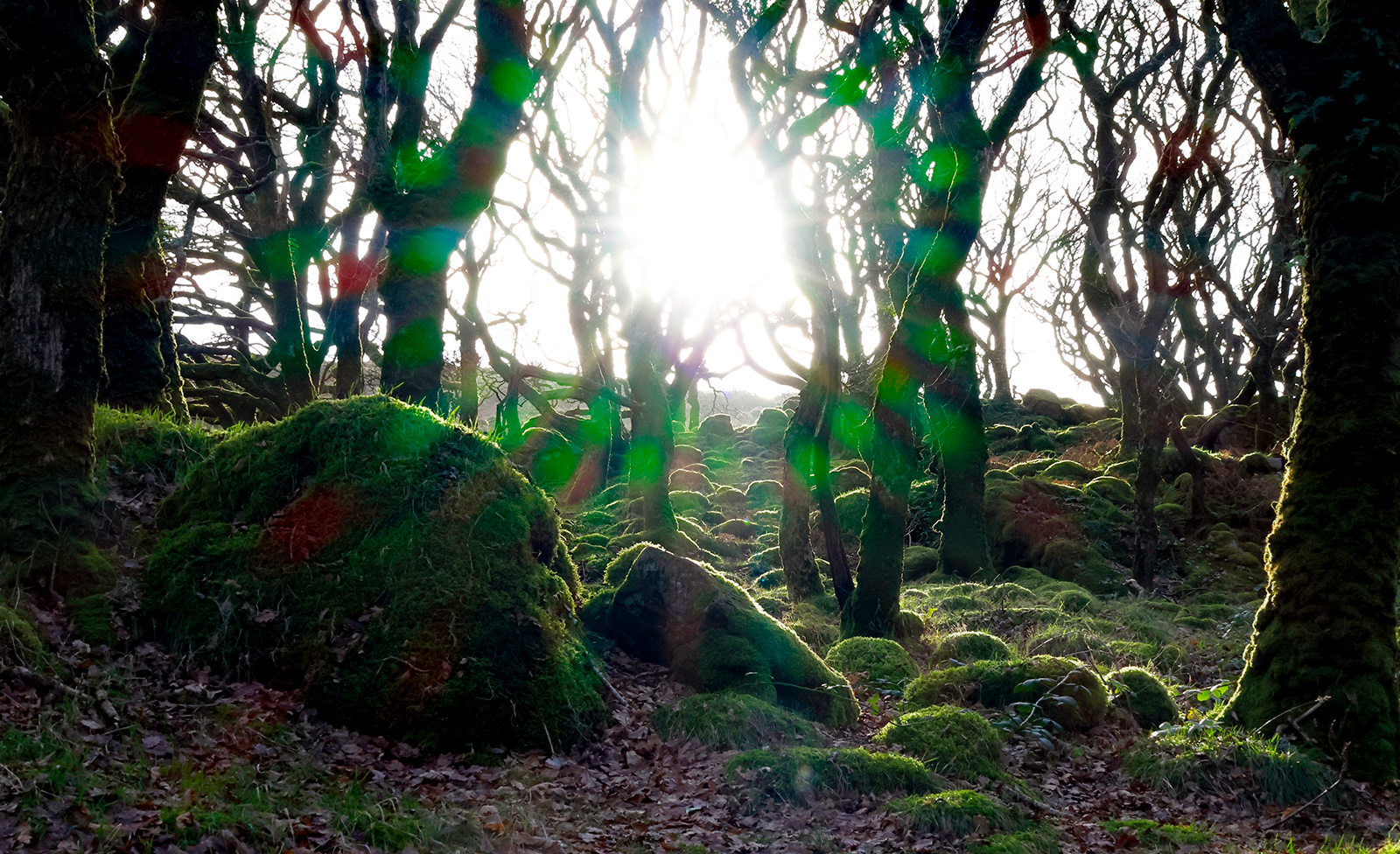 Solstice Sun