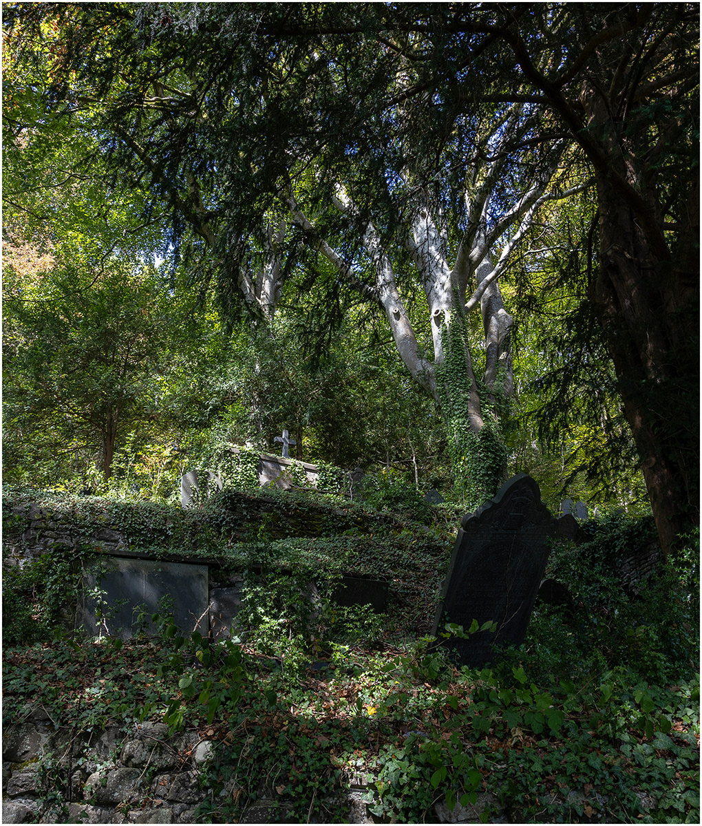 "Sgaded resting place 4" by Viv Evans