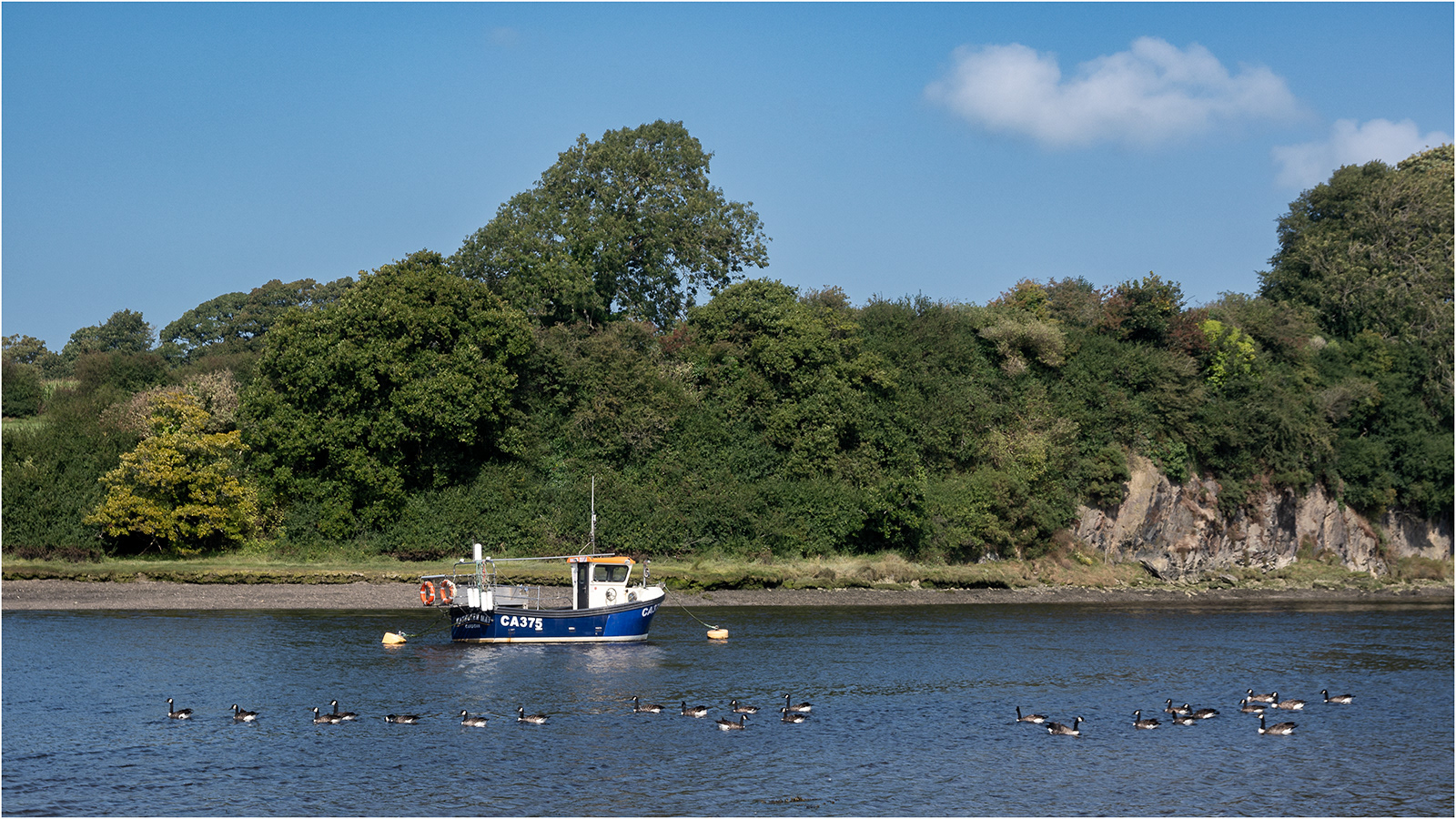 "Geese on the Teifi" by Simon Harding