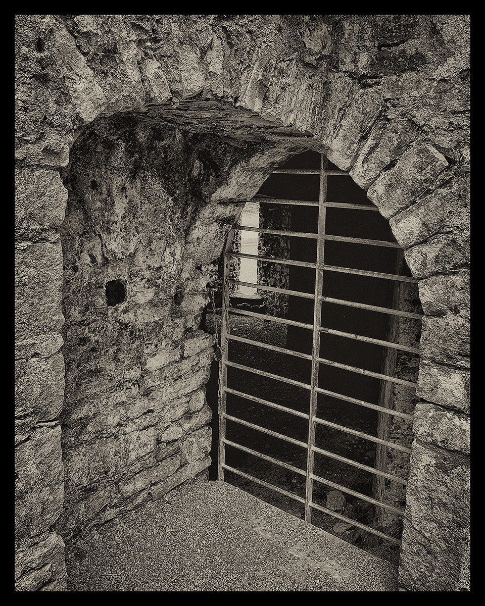 "P8242626" by Viv Bowen