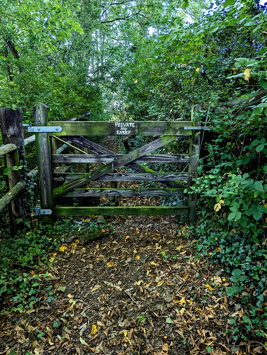 "End of Path" by Mike Jones