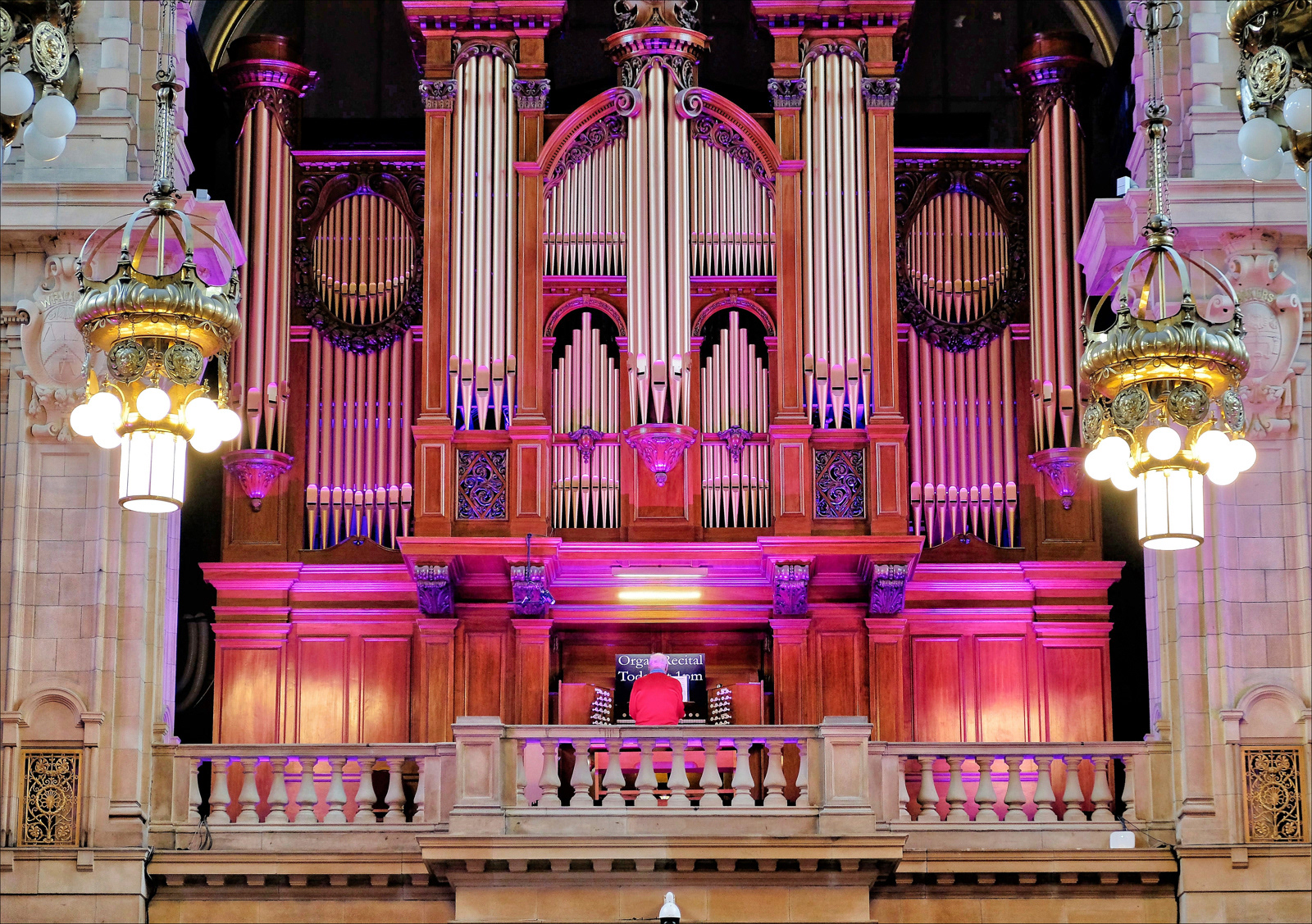 Man with Big Organ