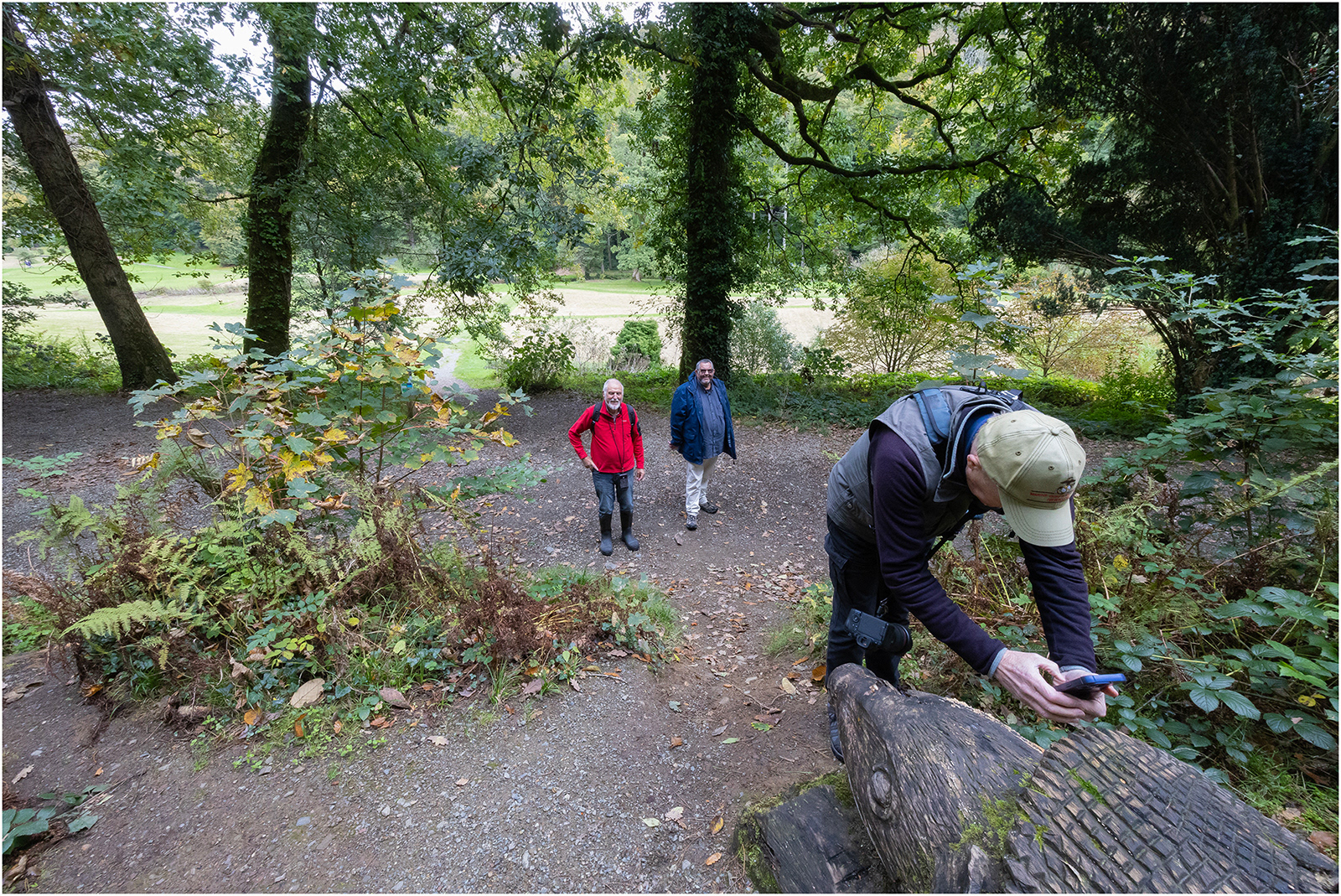 "iPhone trio" by Viv Evans
