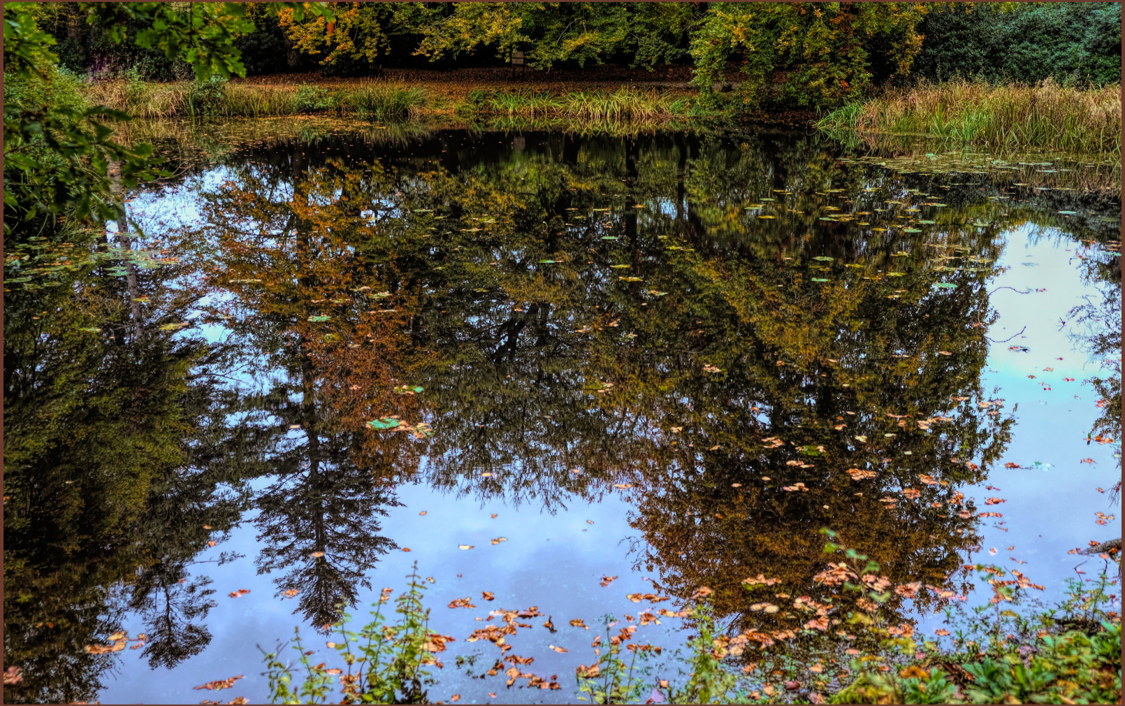 24. Lake Reflections