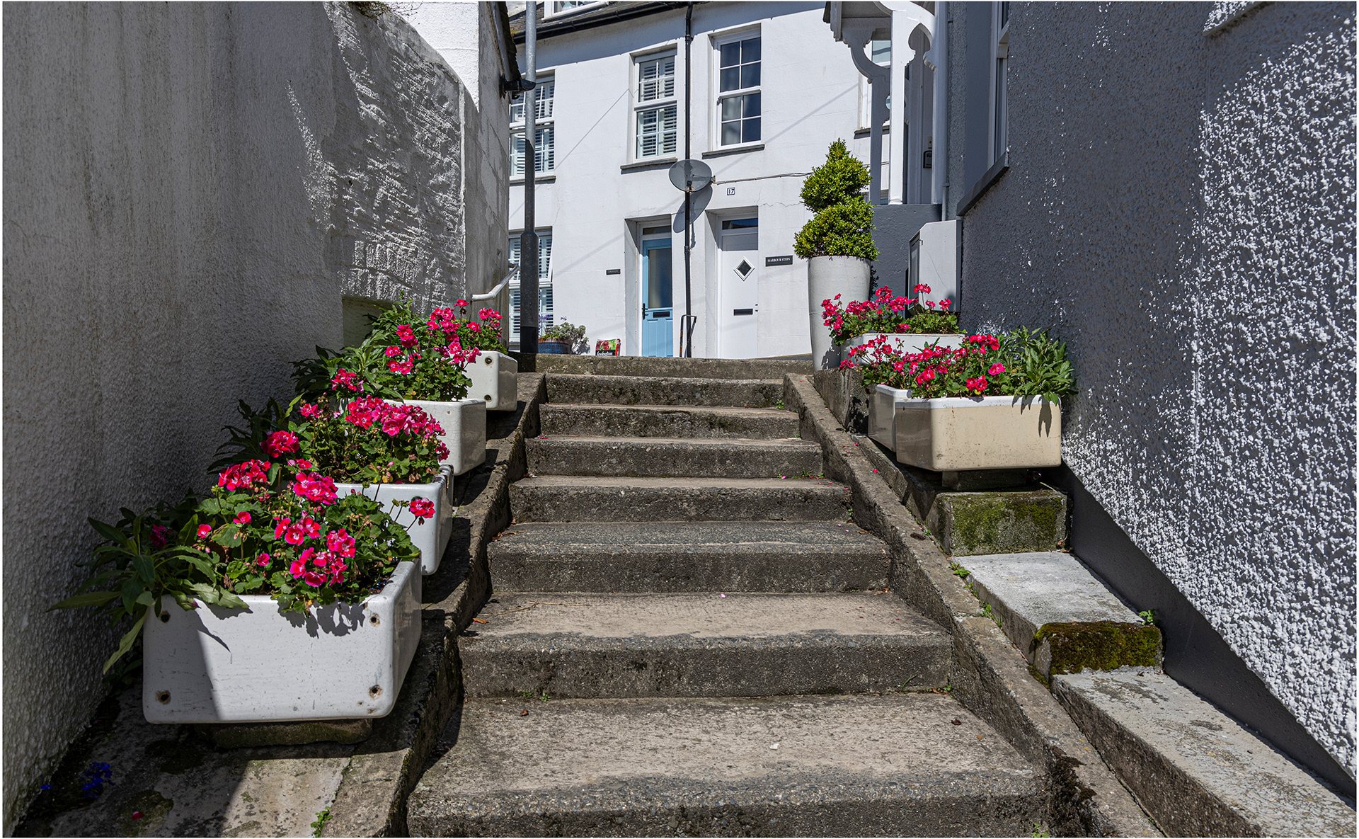 "Belfast Steps" by Viv Evans