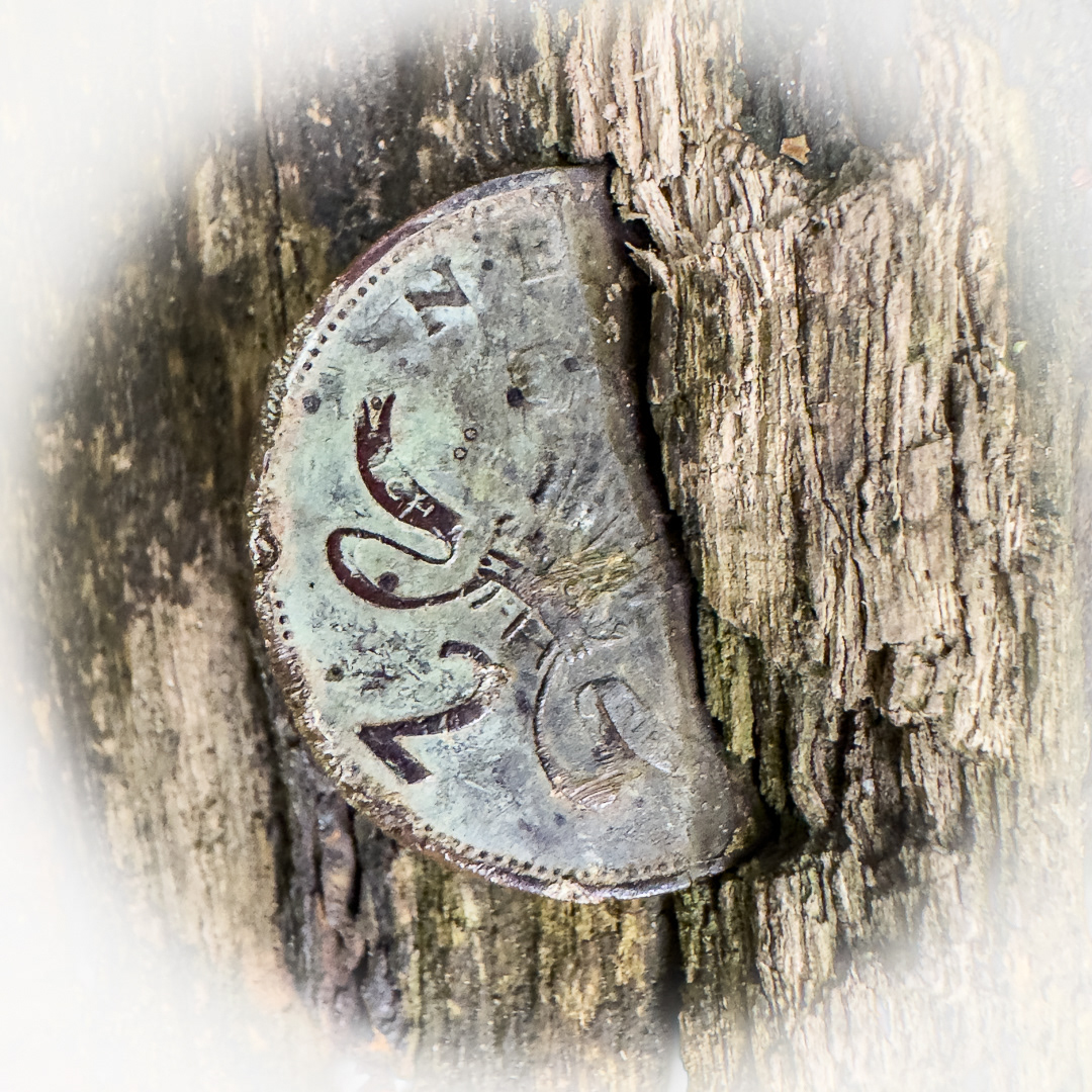 Colby_Pembs-4770 by Morlais Davies