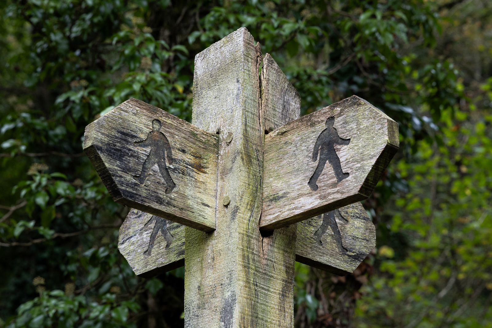 Colby_Pembs-5030 by Morlais Davies