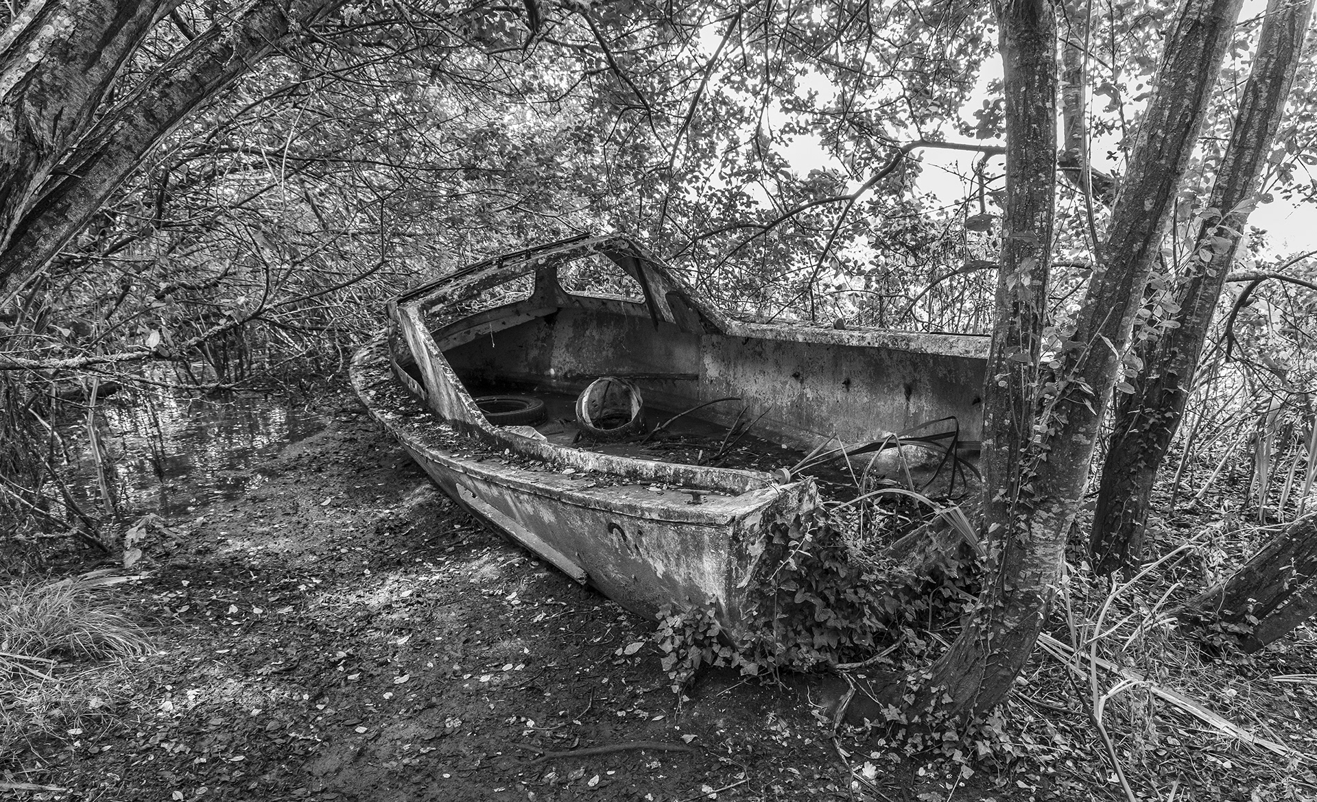 "Gin Palace" by Viv Evans