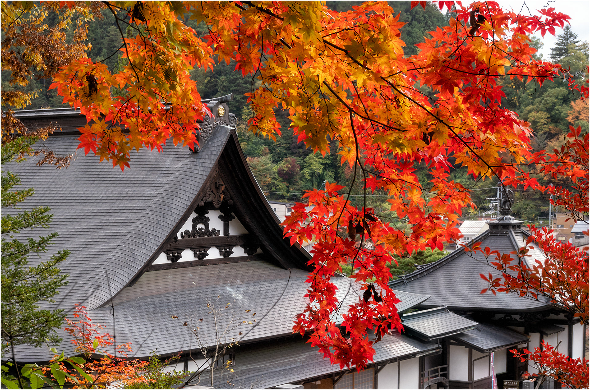 Autumn in Takayama, Japan (2)