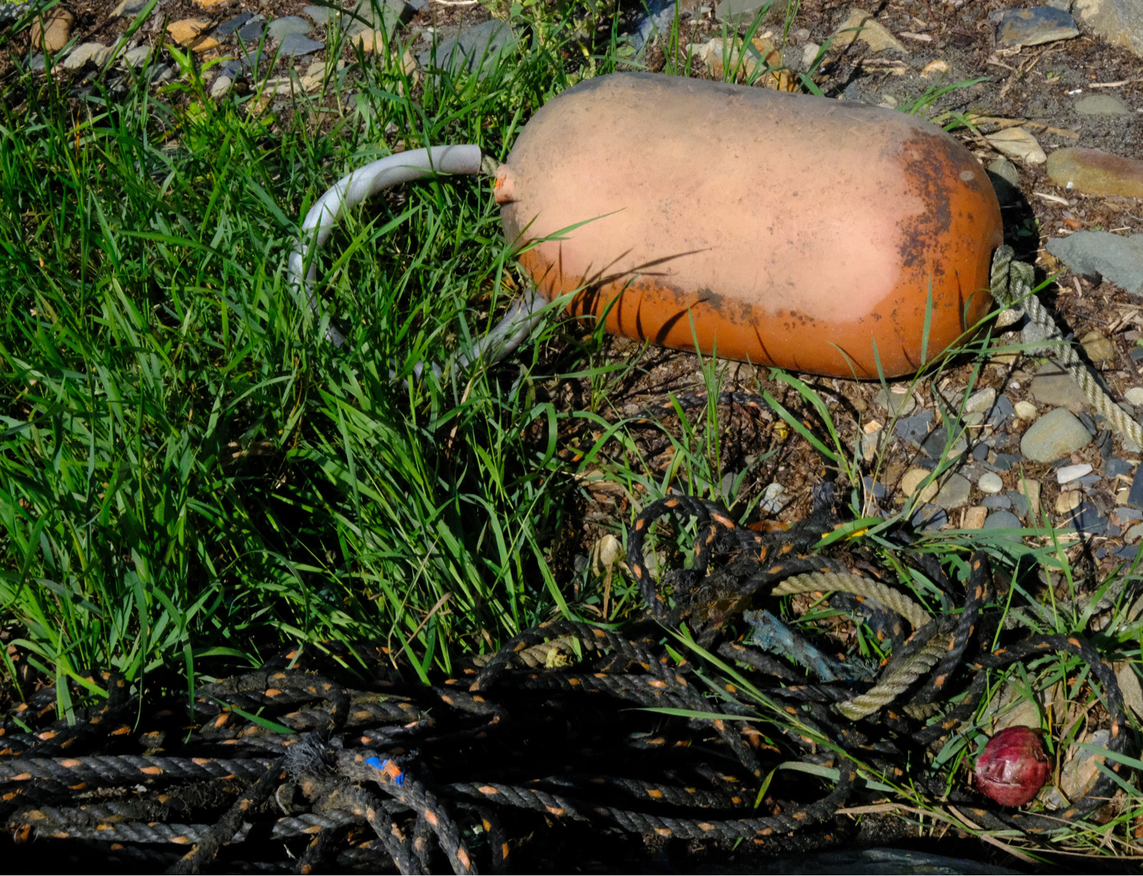 "Buoy, Rope and Onion" by Margaret Jones