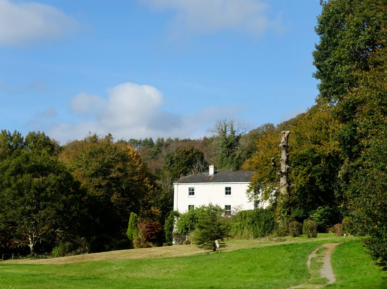 "Blue Sky" by Margaret Jones