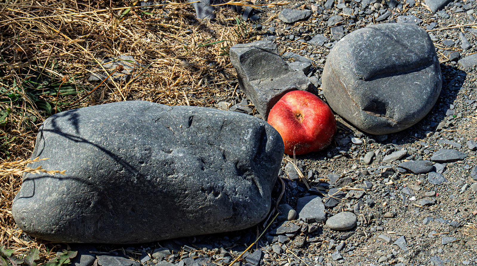 "Between a rock and a hard place" by Monica Berry