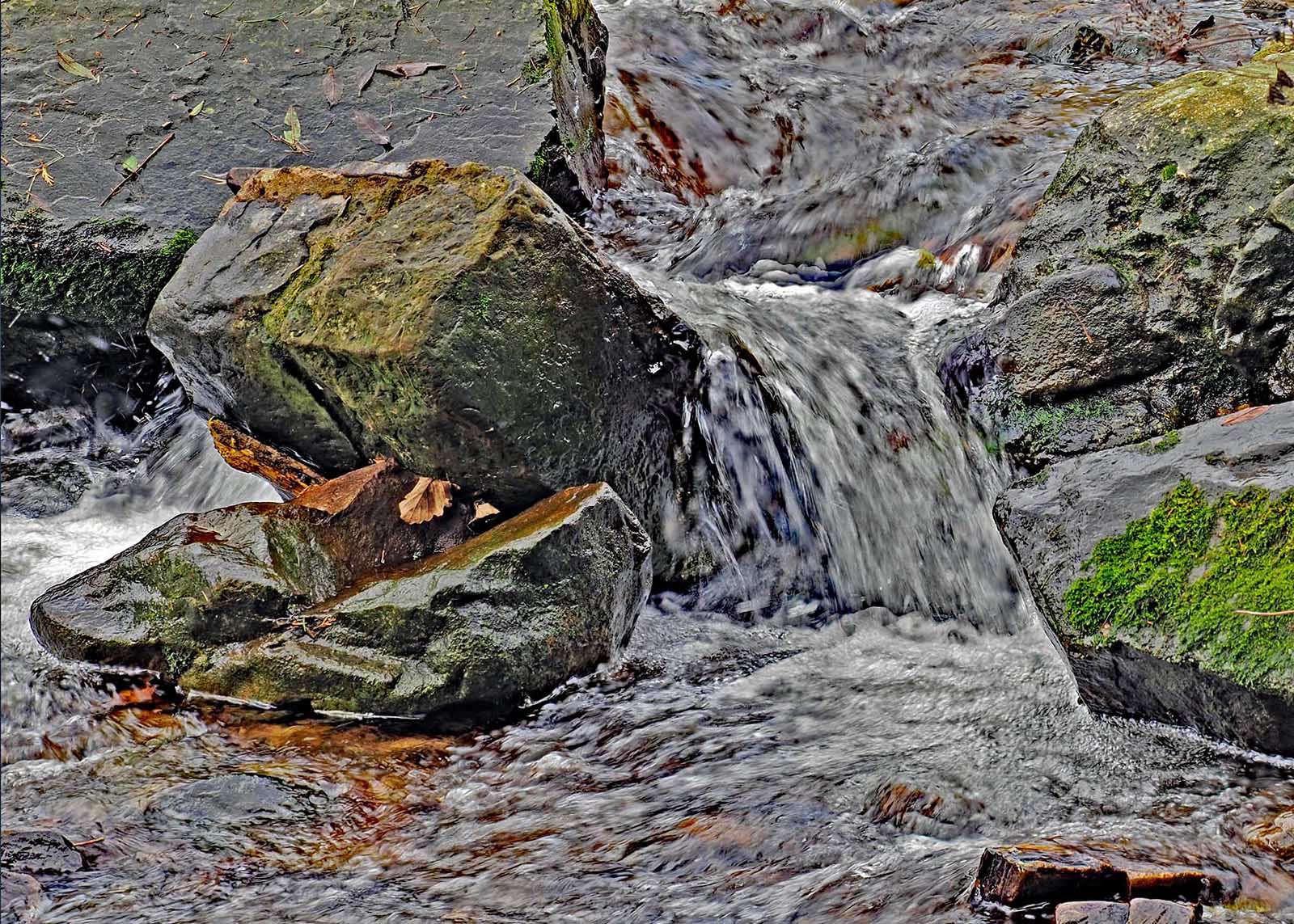 PA072150 by Viv Bowen