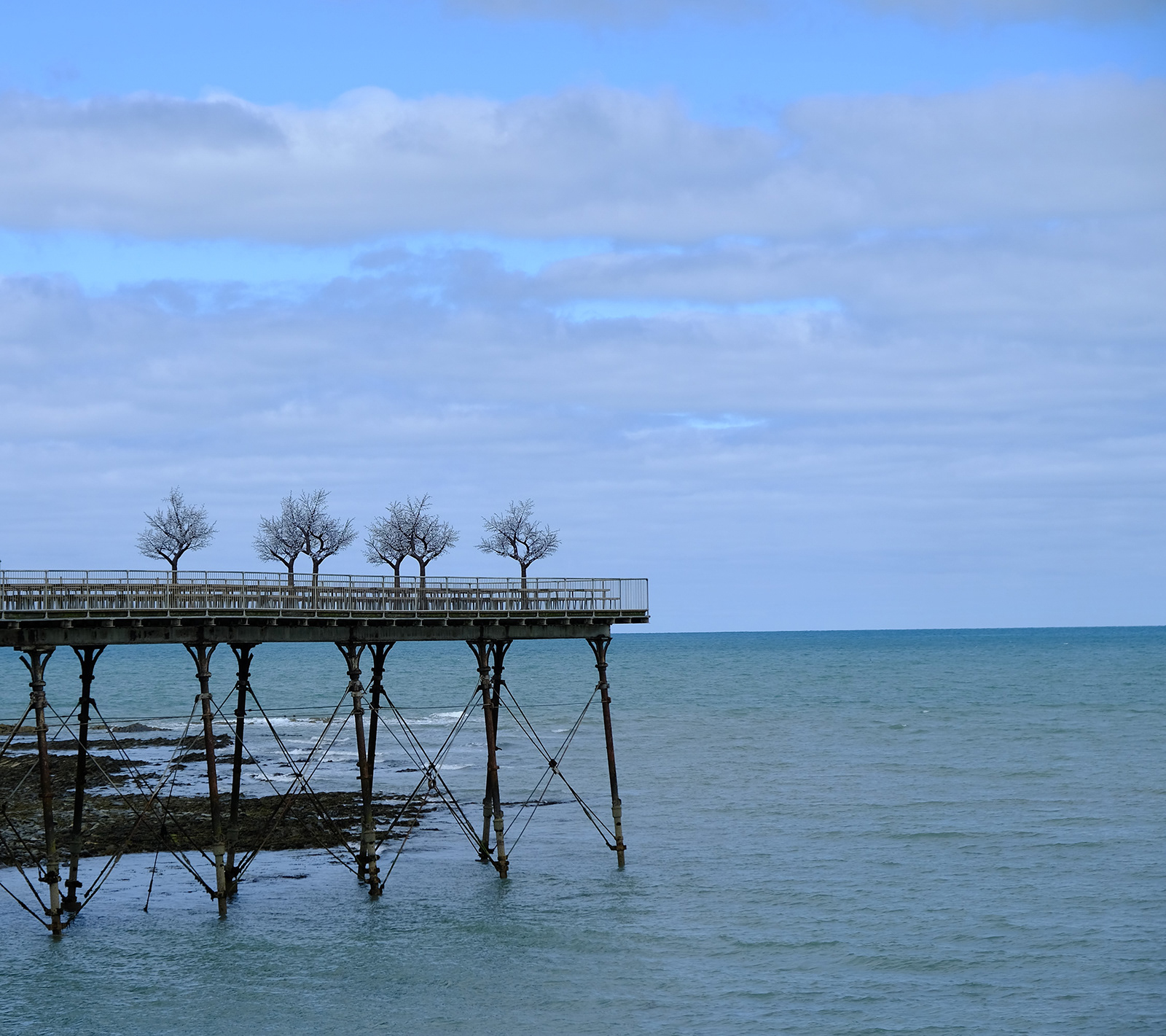 "Pier trees" by Margaret Jones