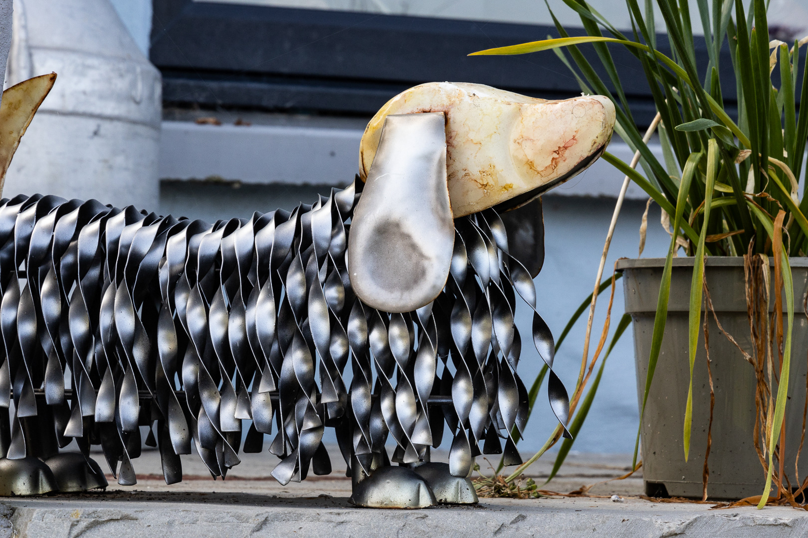 "Well I didn't cause these to wilt" by Morlais Davies