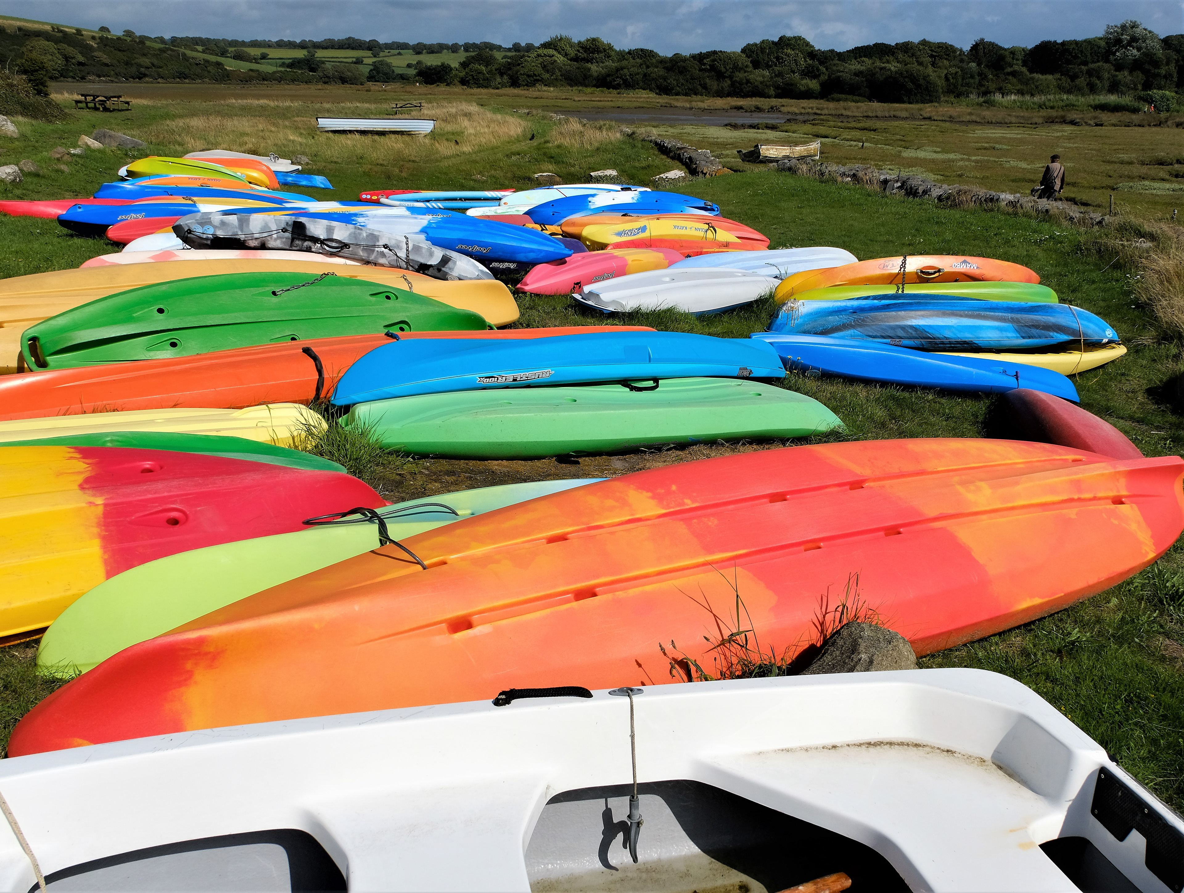 "Surfing Shades" by David Hough