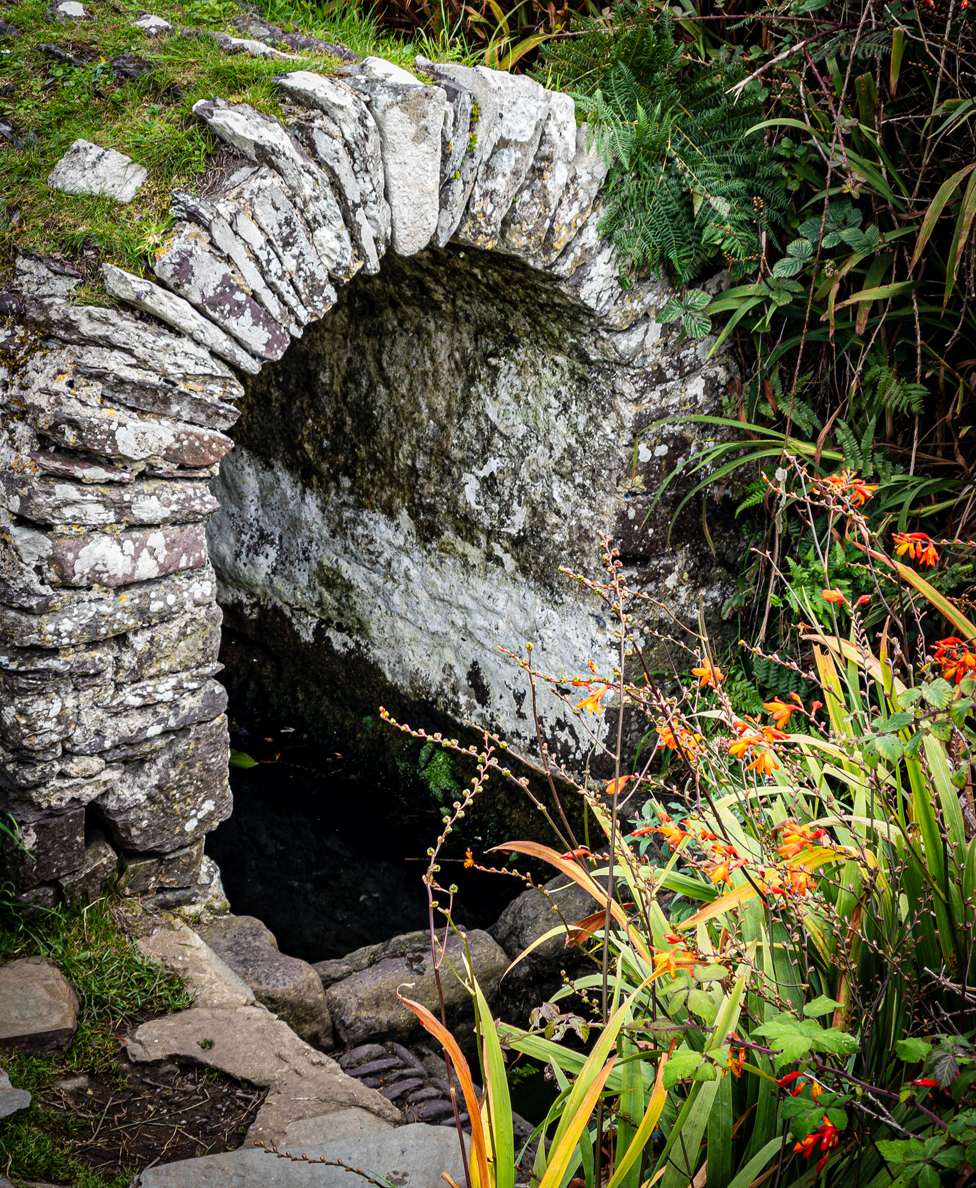 "Non's Well" by Gareth Parry