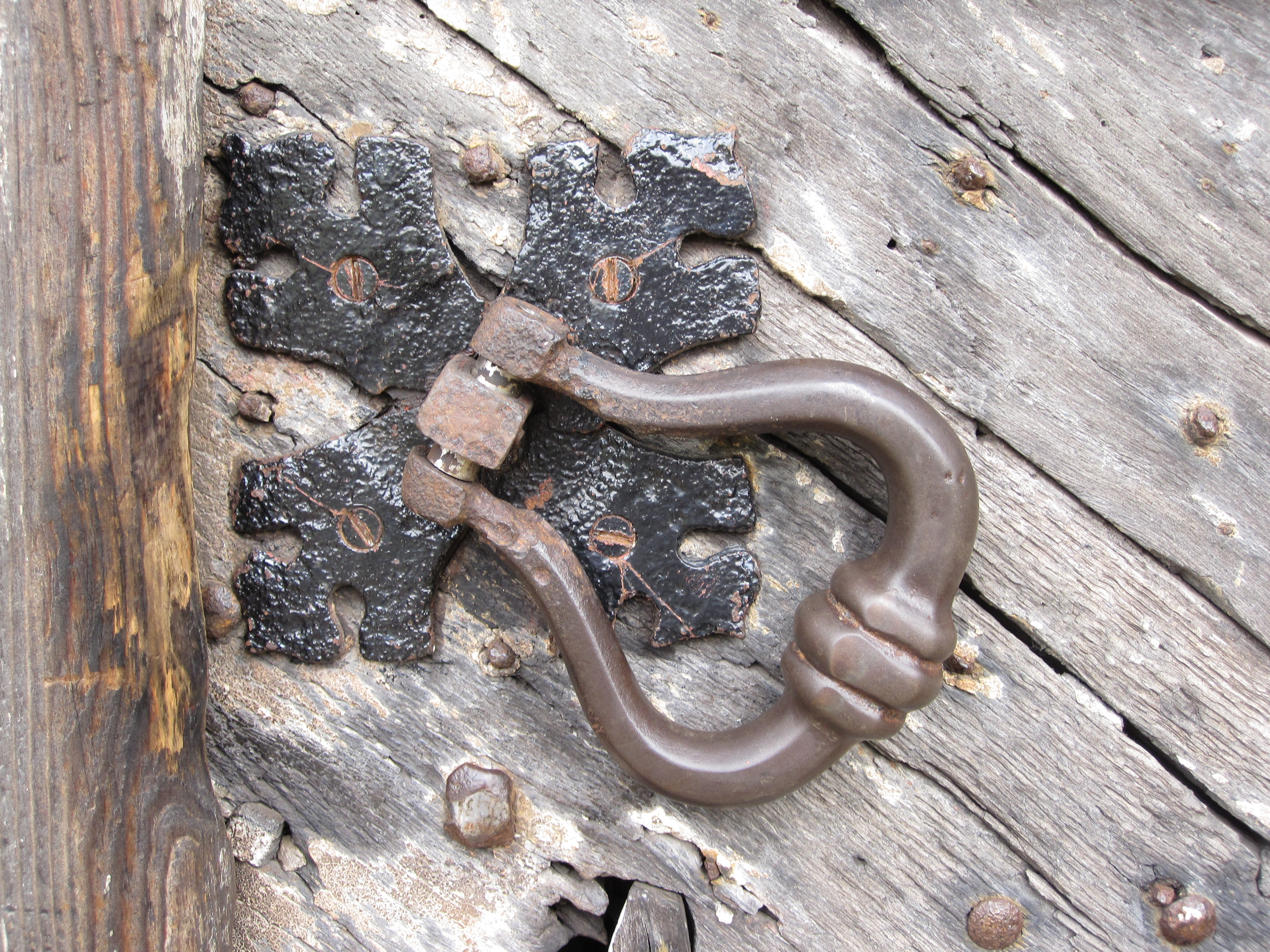 ** Awaiting caption **