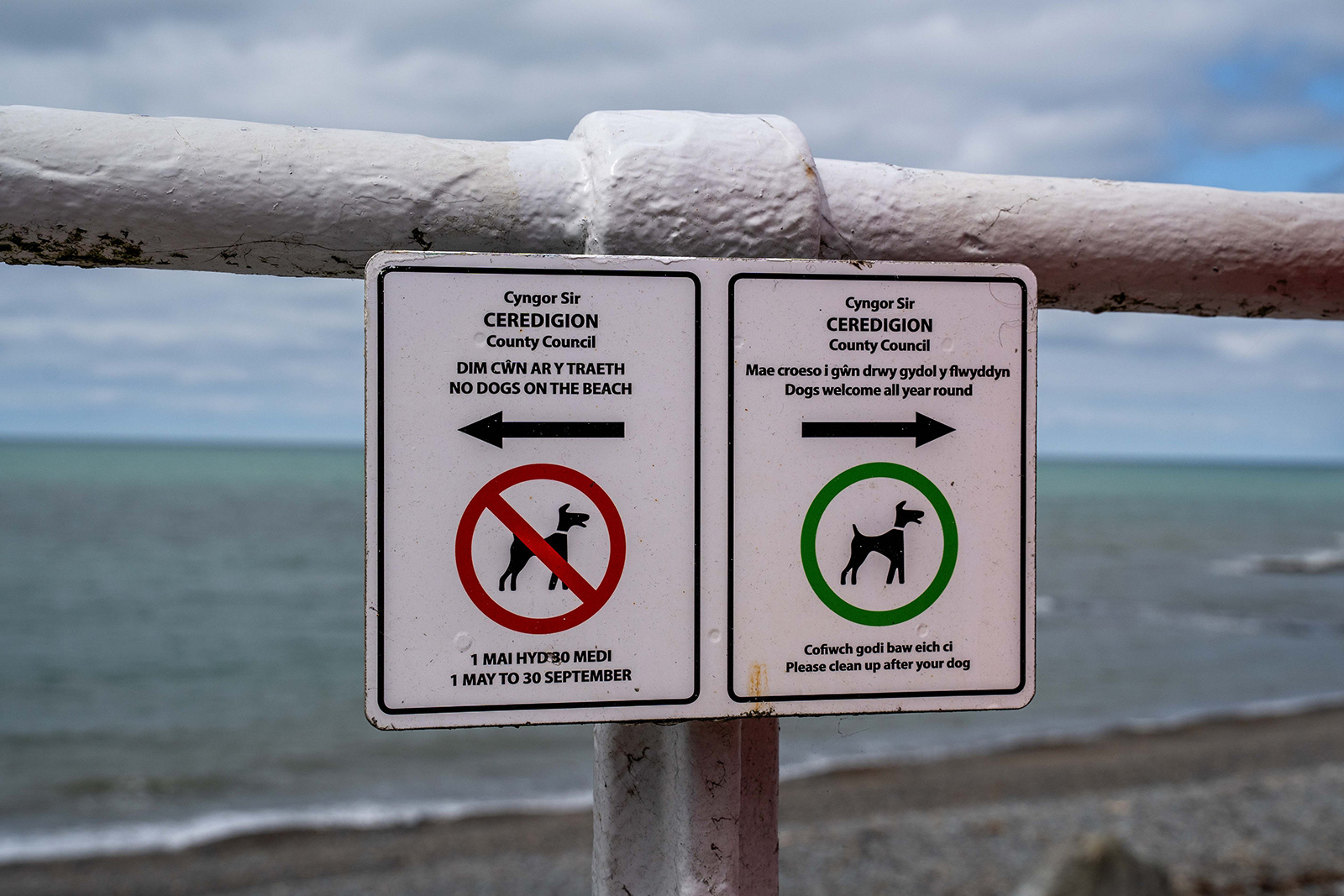 "Dogs to the right please!" by Jan Evans